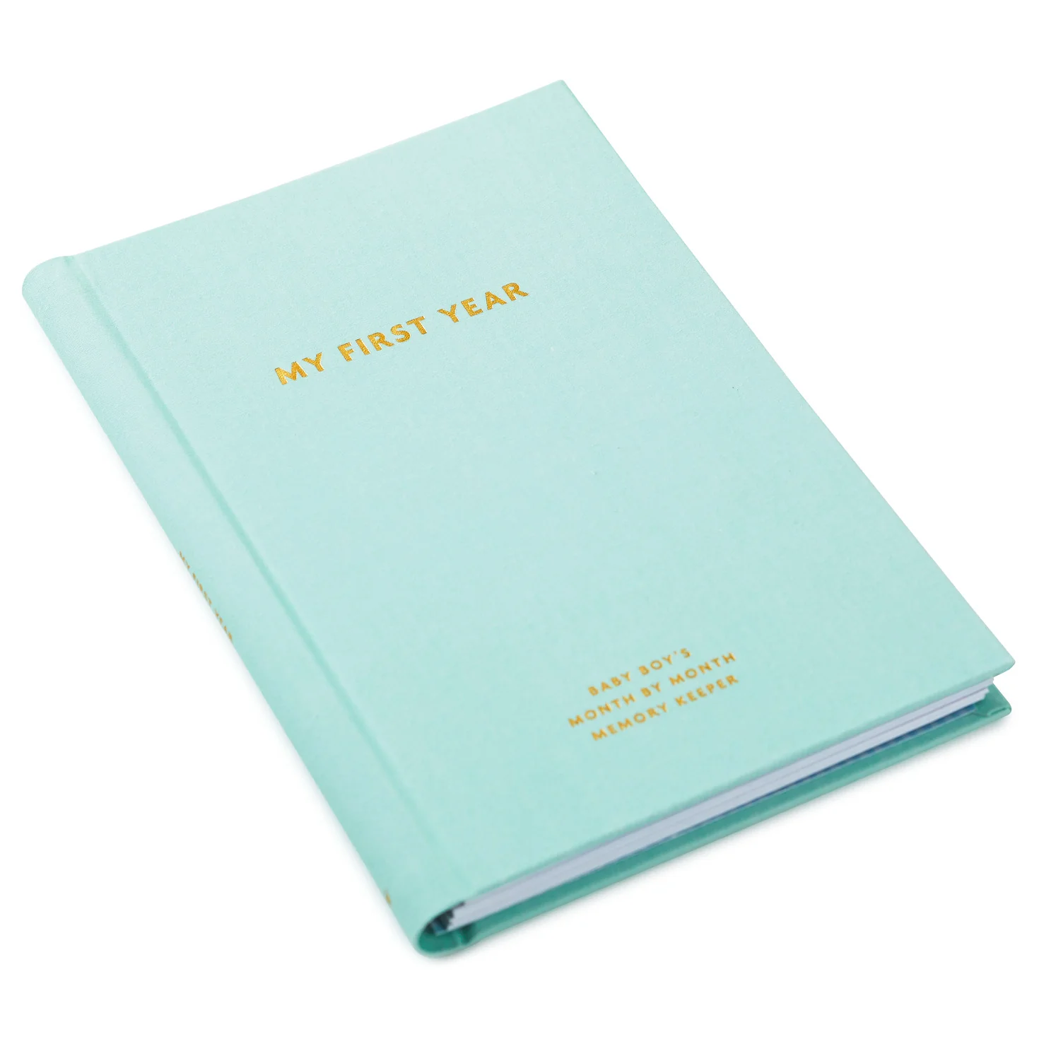 My First Year Baby Book - Blue - Image 5