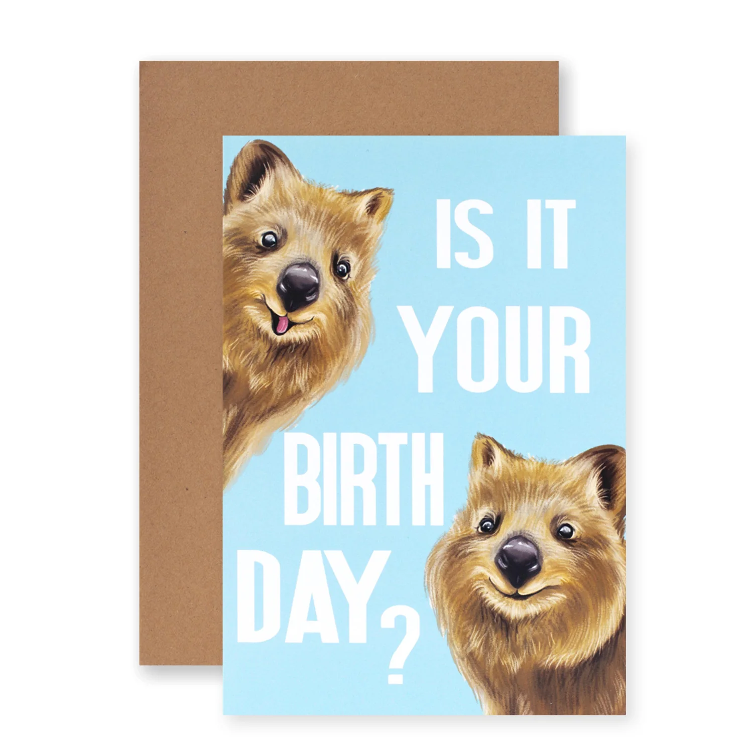 Hallmark Ozzy Oddities Birthday Card - Quokka Celebrations - Image 3
