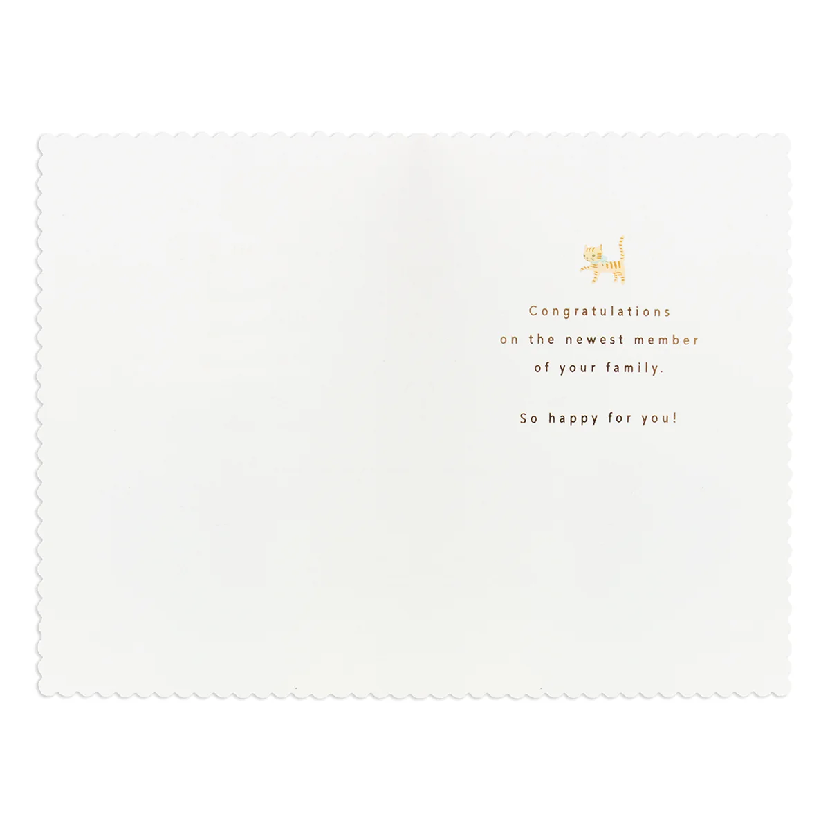 Hallmark Signature New Baby Congratulations Card - Alphabet - Image 2