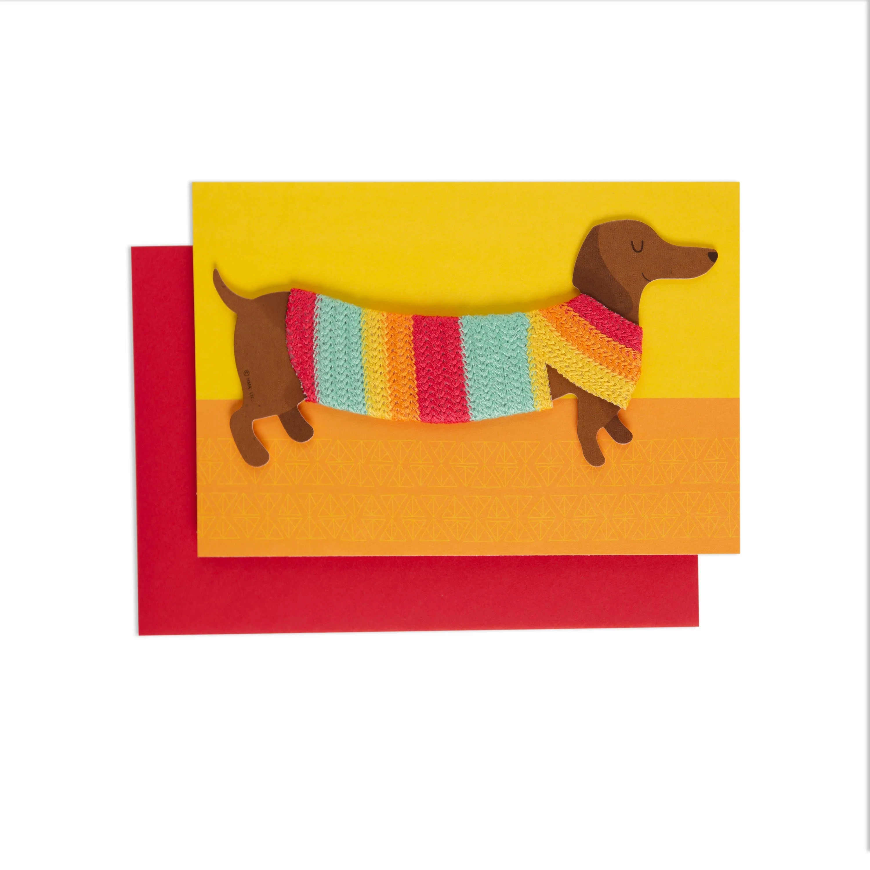 Dachshund Magnet Cute Birthday Card - Image 3