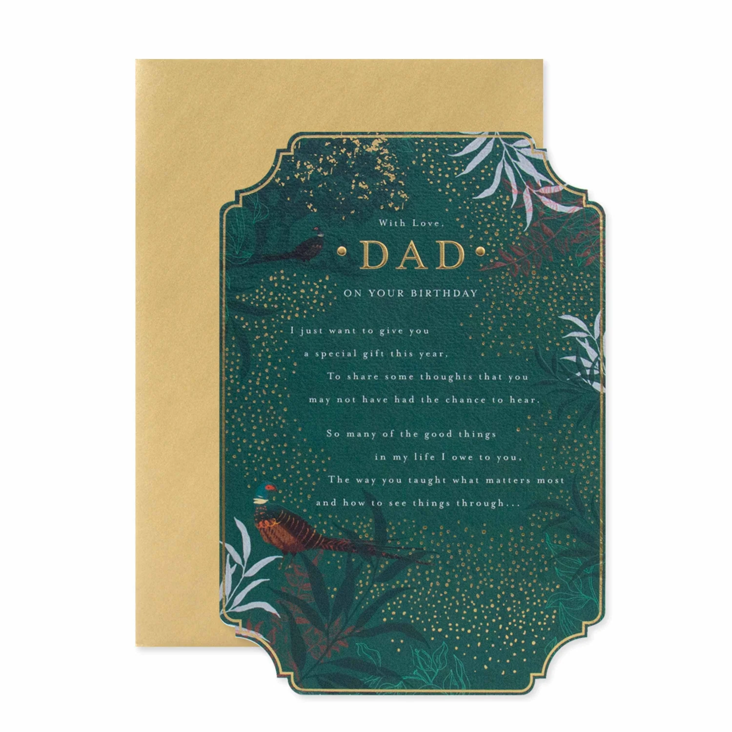 Celebrate your Dad with this stunning card from Hallmark - Image 3