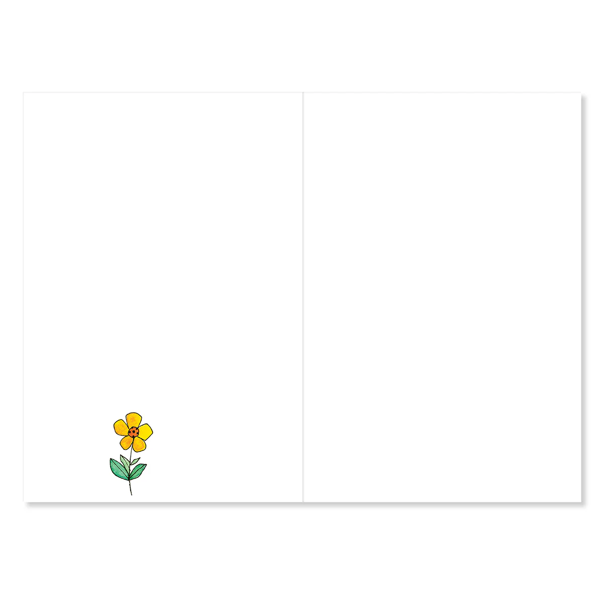 Hallmark x Love, Meredith Greeting Card - Colourful House - Image 2