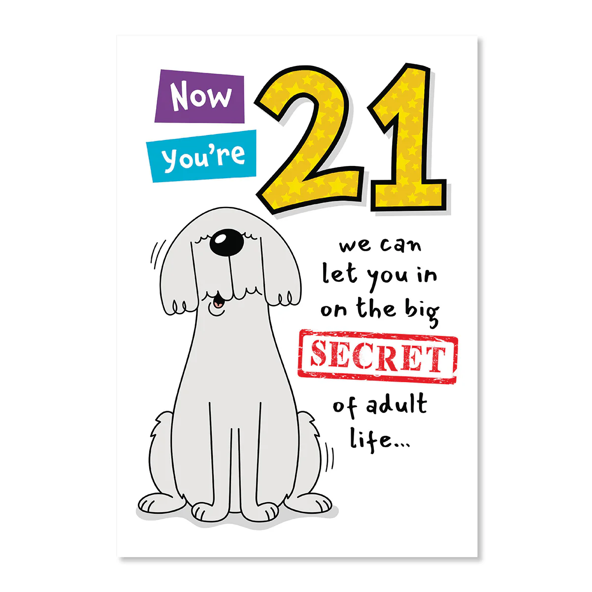 Hallmark 21st Birthday Card - Big Secret