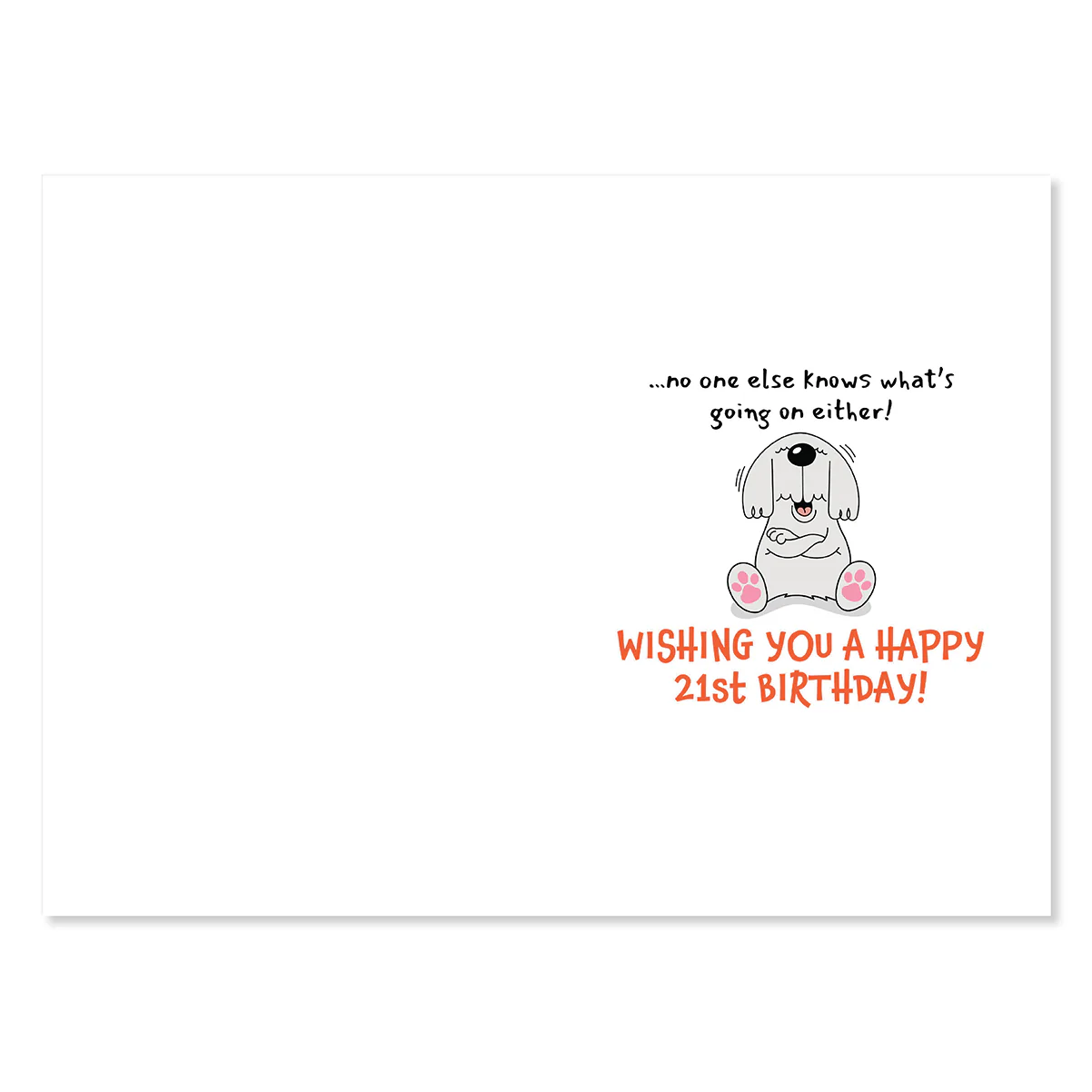 Hallmark 21st Birthday Card - Big Secret - Image 2