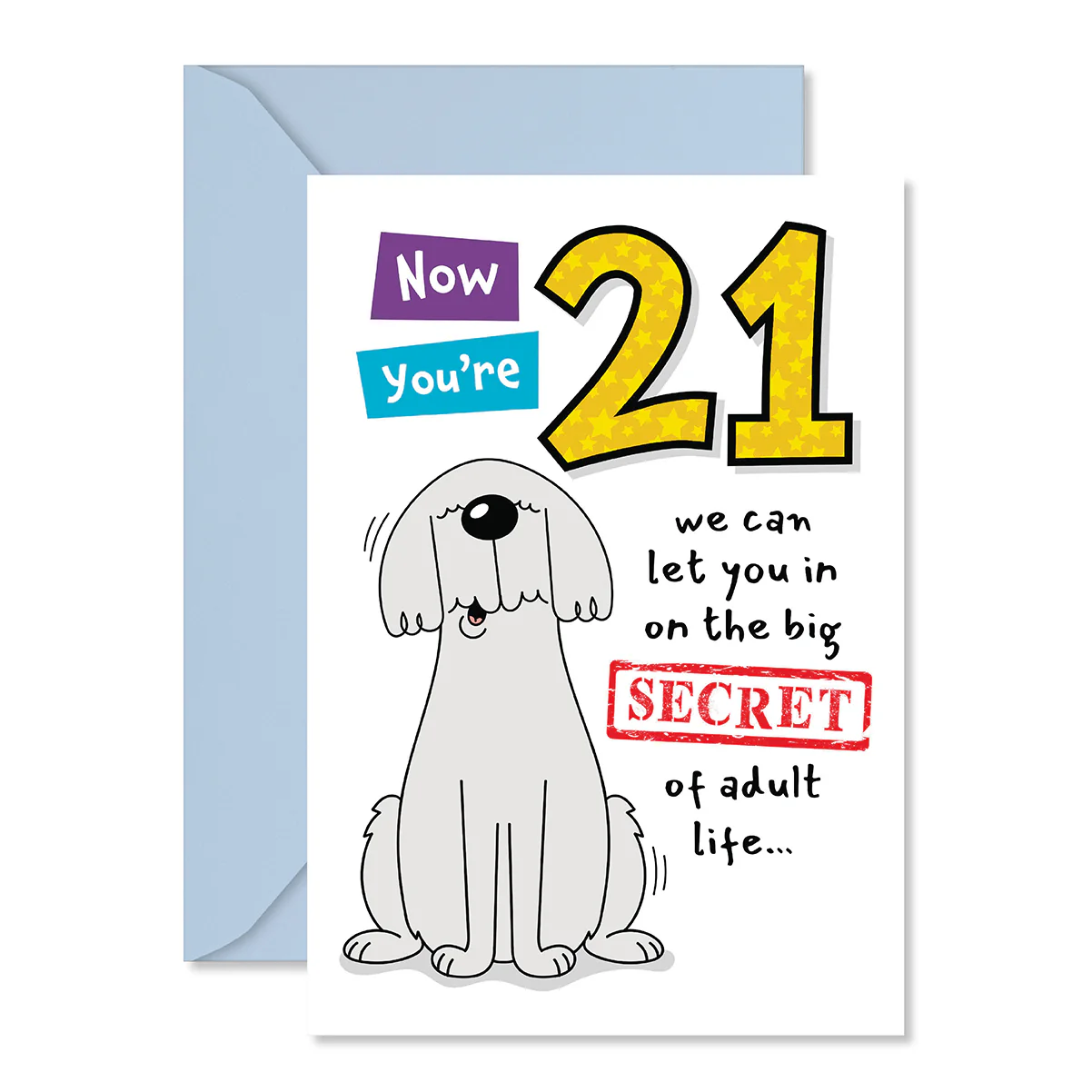 Hallmark 21st Birthday Card - Big Secret - Image 3