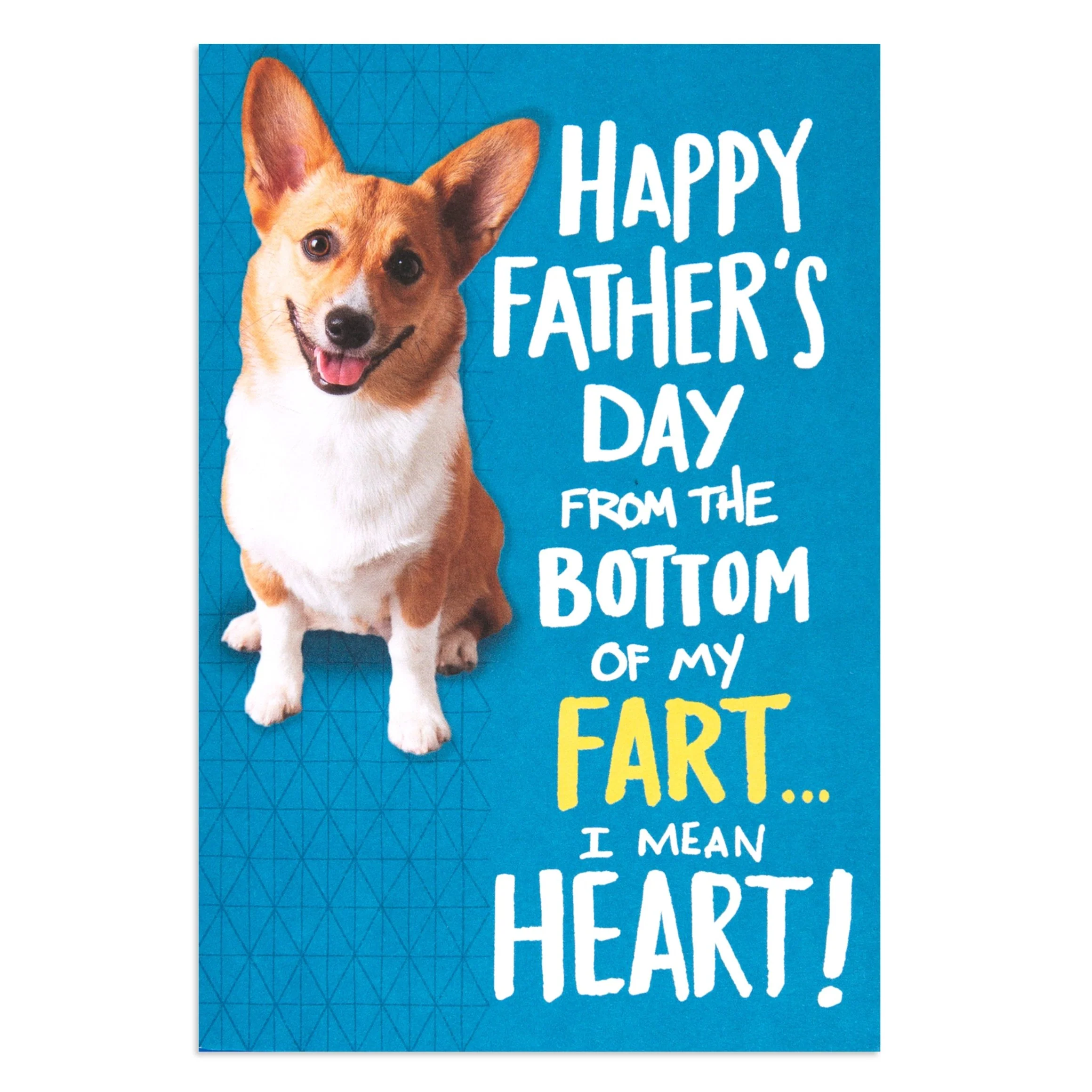Hallmark Father's Day Card - Funny Dog Fart