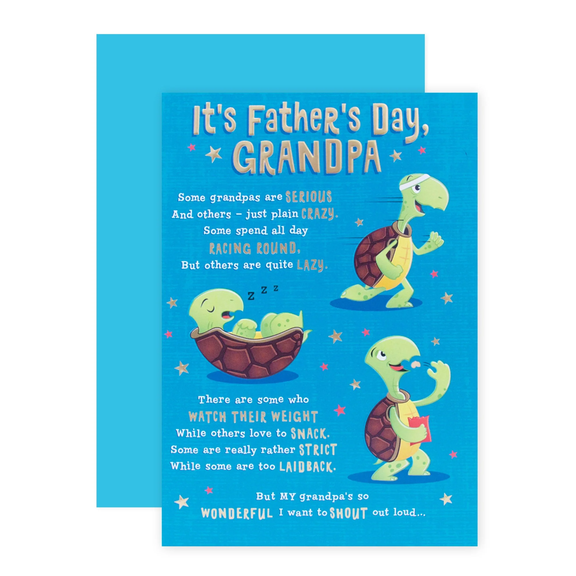 Hallmark Father's Day Card - Tortoises (For Grandpa) - Image 3