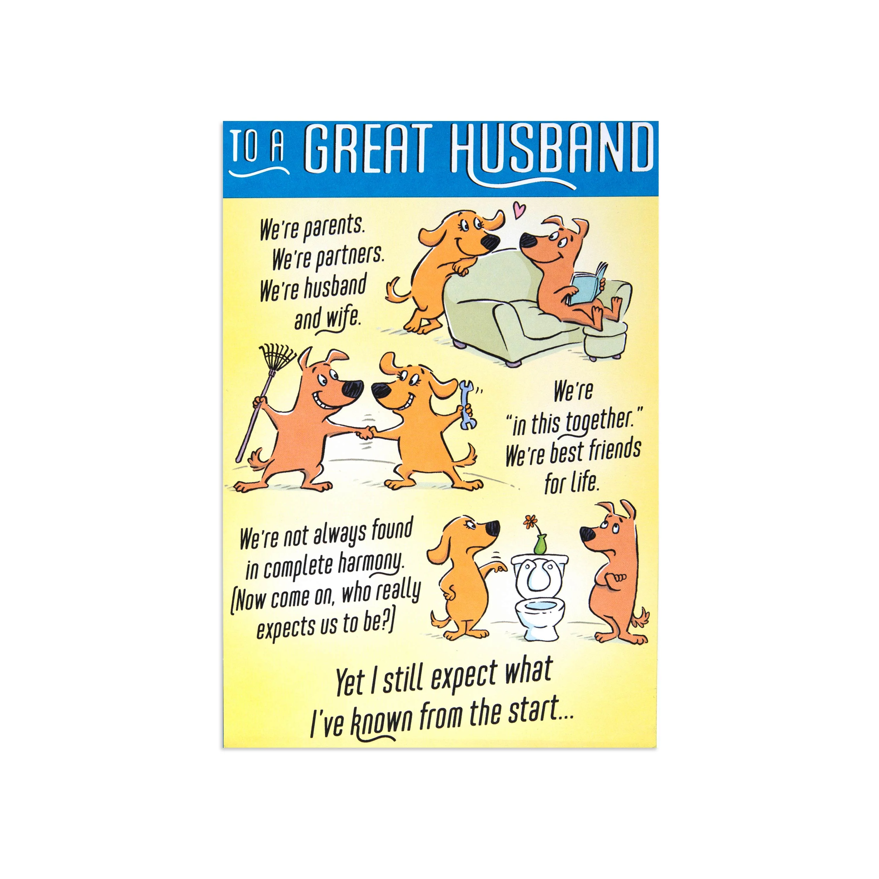 Fcc Husband  Funny Dogs