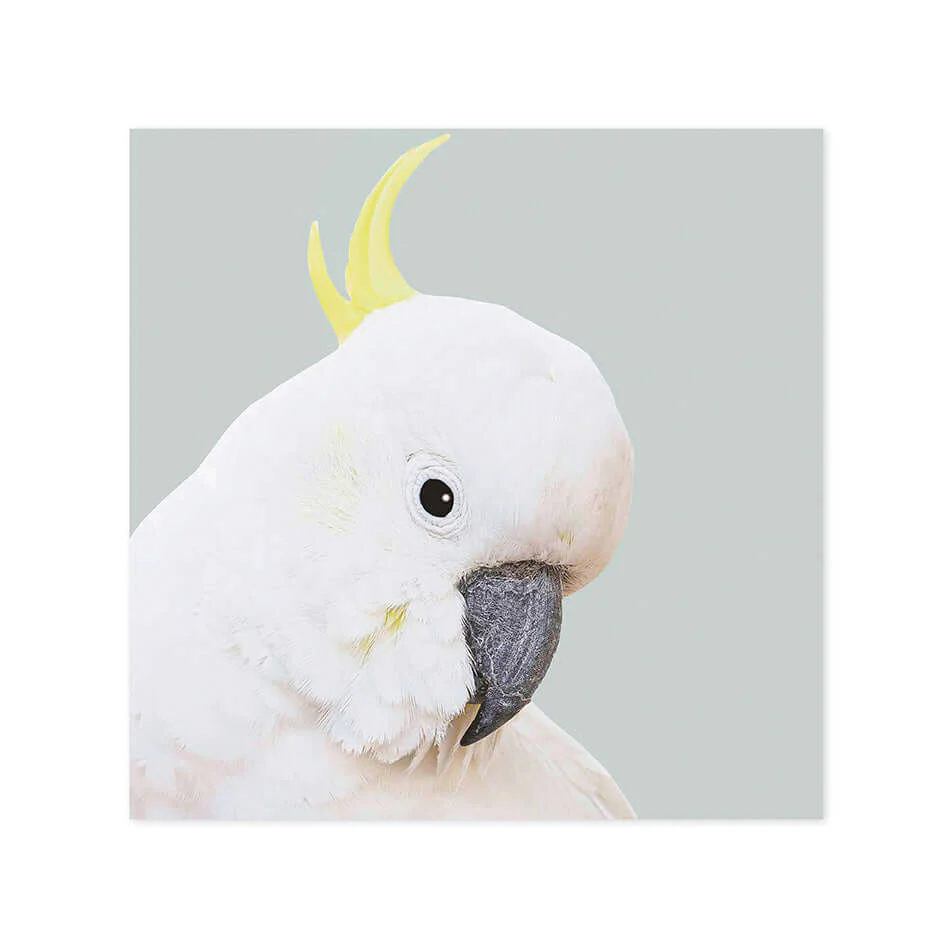 Hallmark x Donna Delaney Gallery Blank Greeting Card - Freddy
