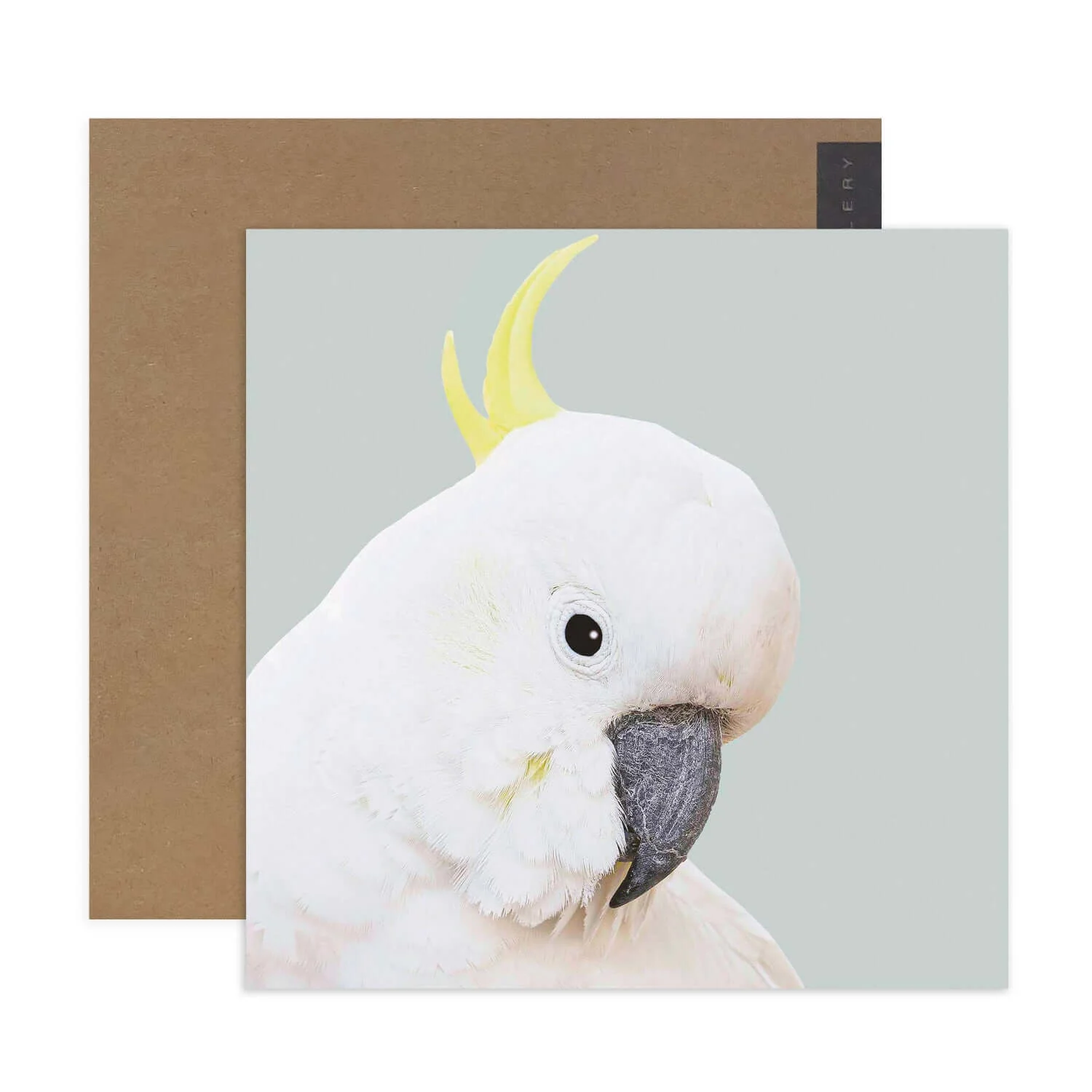 Hallmark x Donna Delaney Gallery Blank Greeting Card - Freddy - Image 2