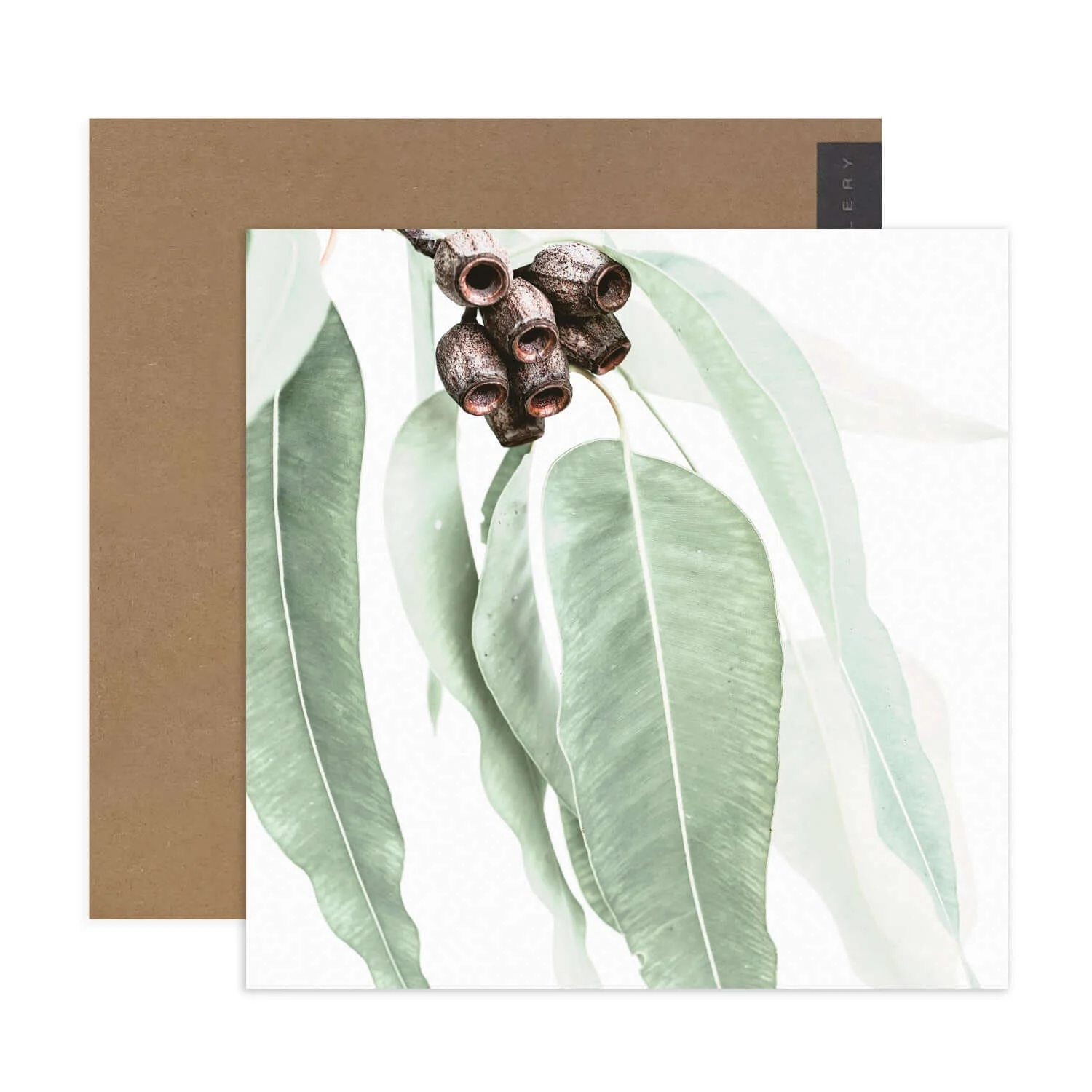 Hallmark x Donna Delaney Gallery Blank Greeting Card - Home Among The Gum Trees - Image 2
