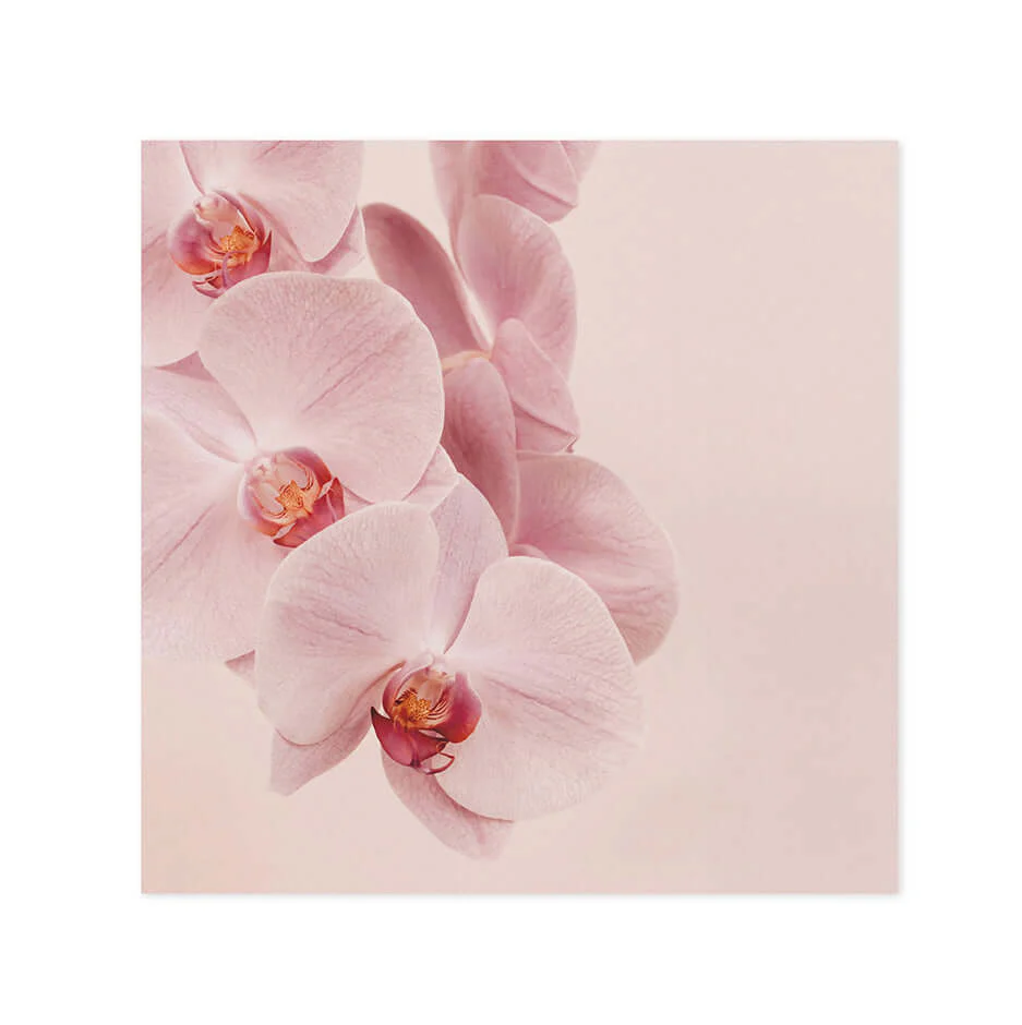 Hallmark x Donna Delaney Gallery Blank Greeting Card - Jennifer