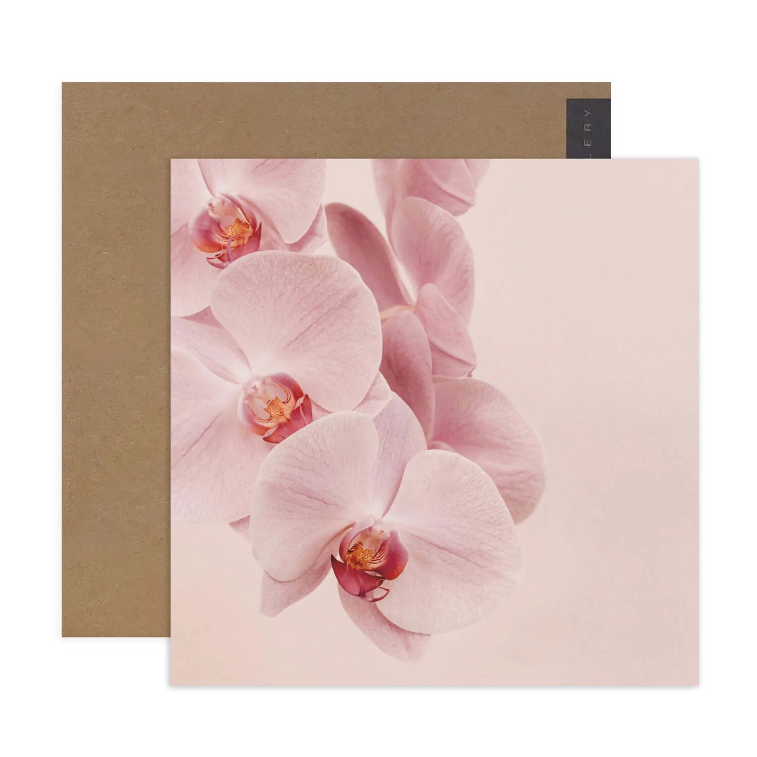 Hallmark x Donna Delaney Gallery Blank Greeting Card - Jennifer - Image 2