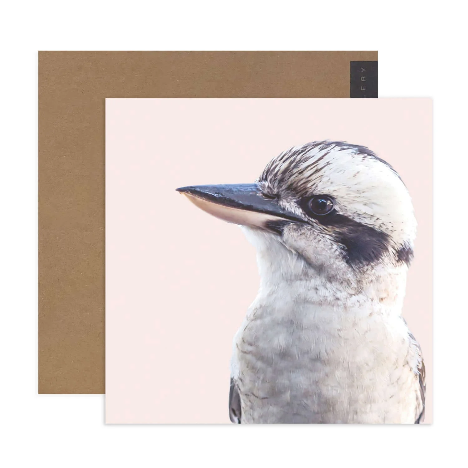 Hallmark x Donna Delaney Gallery Blank Greeting Card - Kookaburra - Image 2