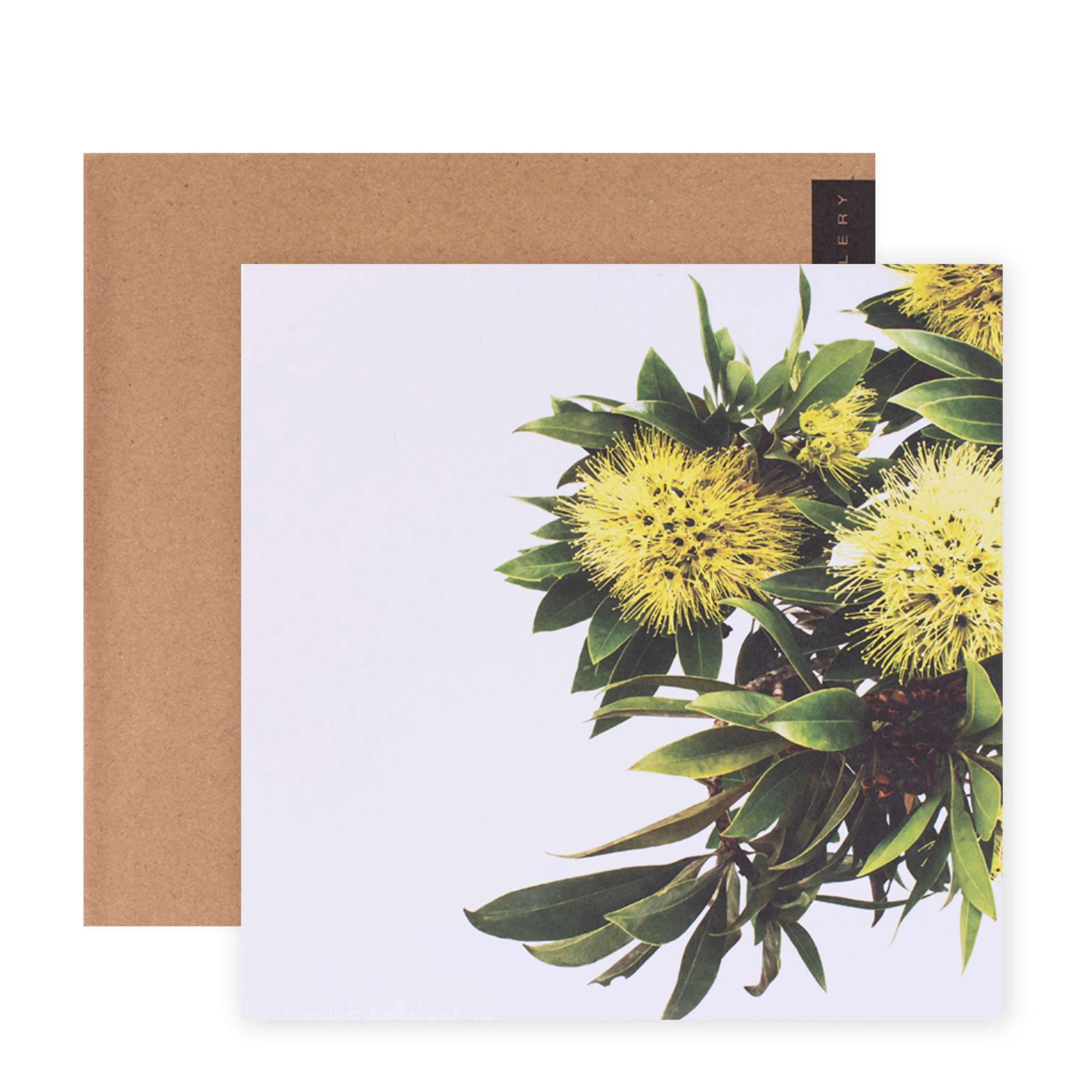 Hallmark x Donna Delaney Gallery Blank Greeting Card - Expo Gold - Image 3