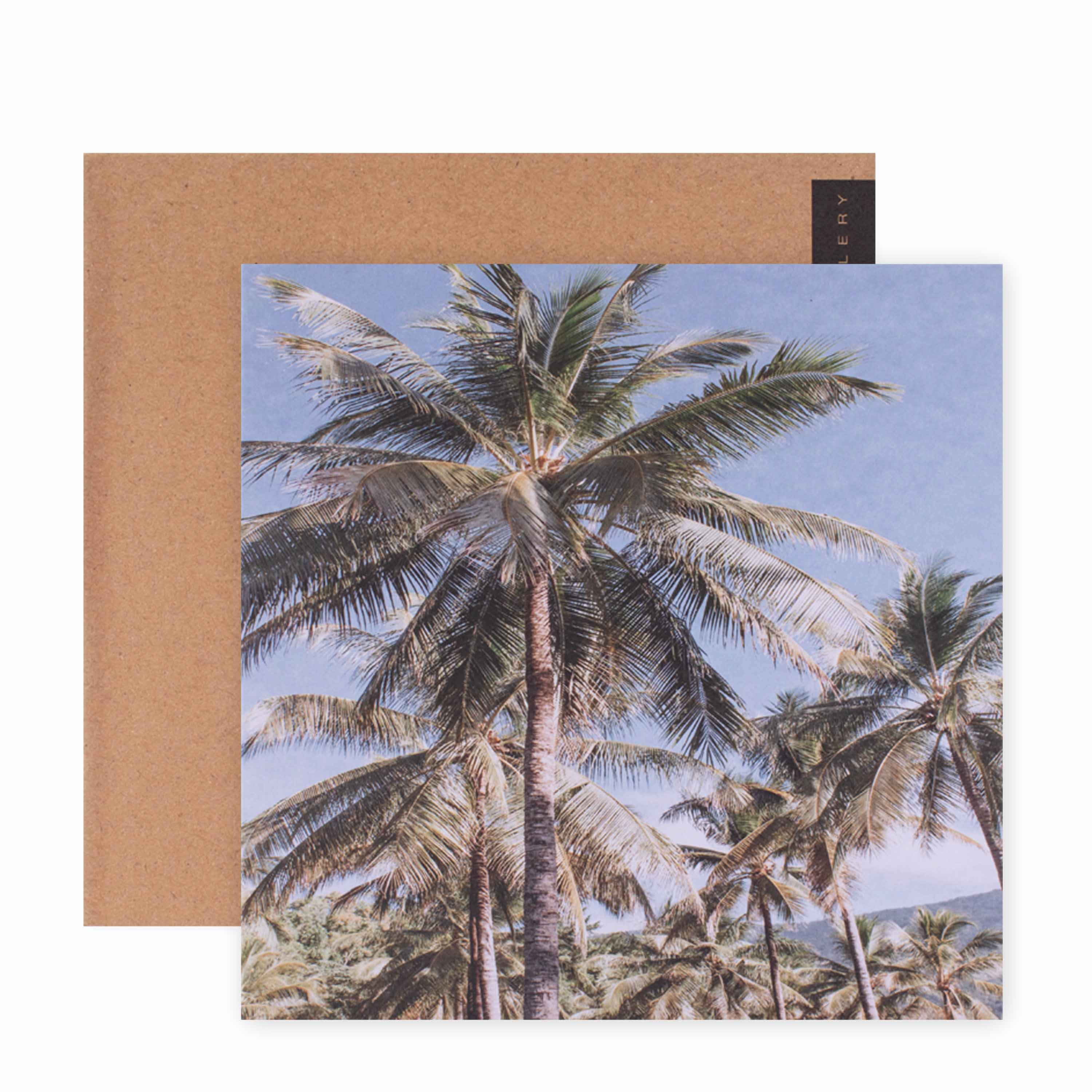 Hallmark x Donna Delaney Gallery Blank Greeting Card - Vintage Palms - Image 3