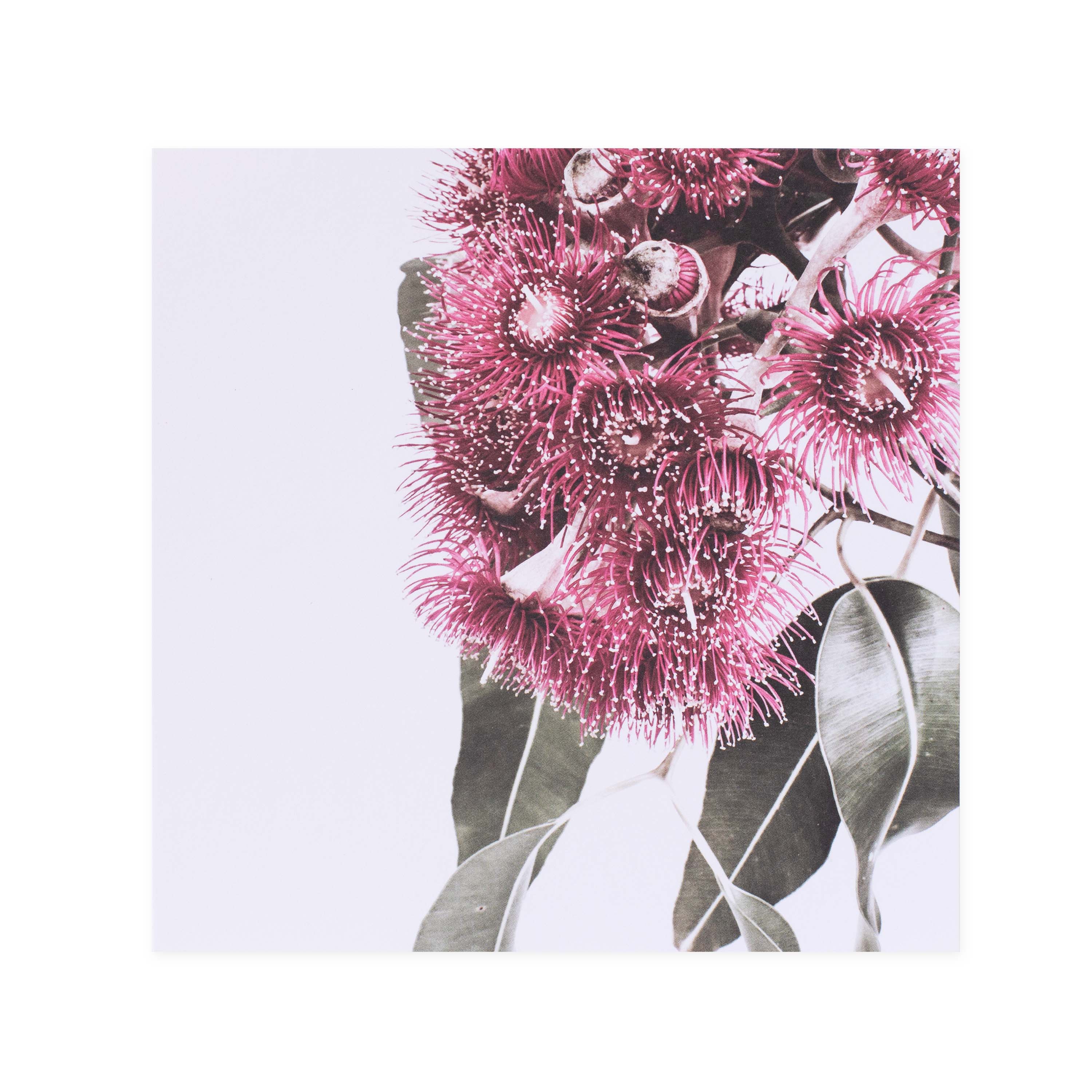 Hallmark x Donna Delaney Gallery Blank Greeting Card - Tiny Pink Fireworks