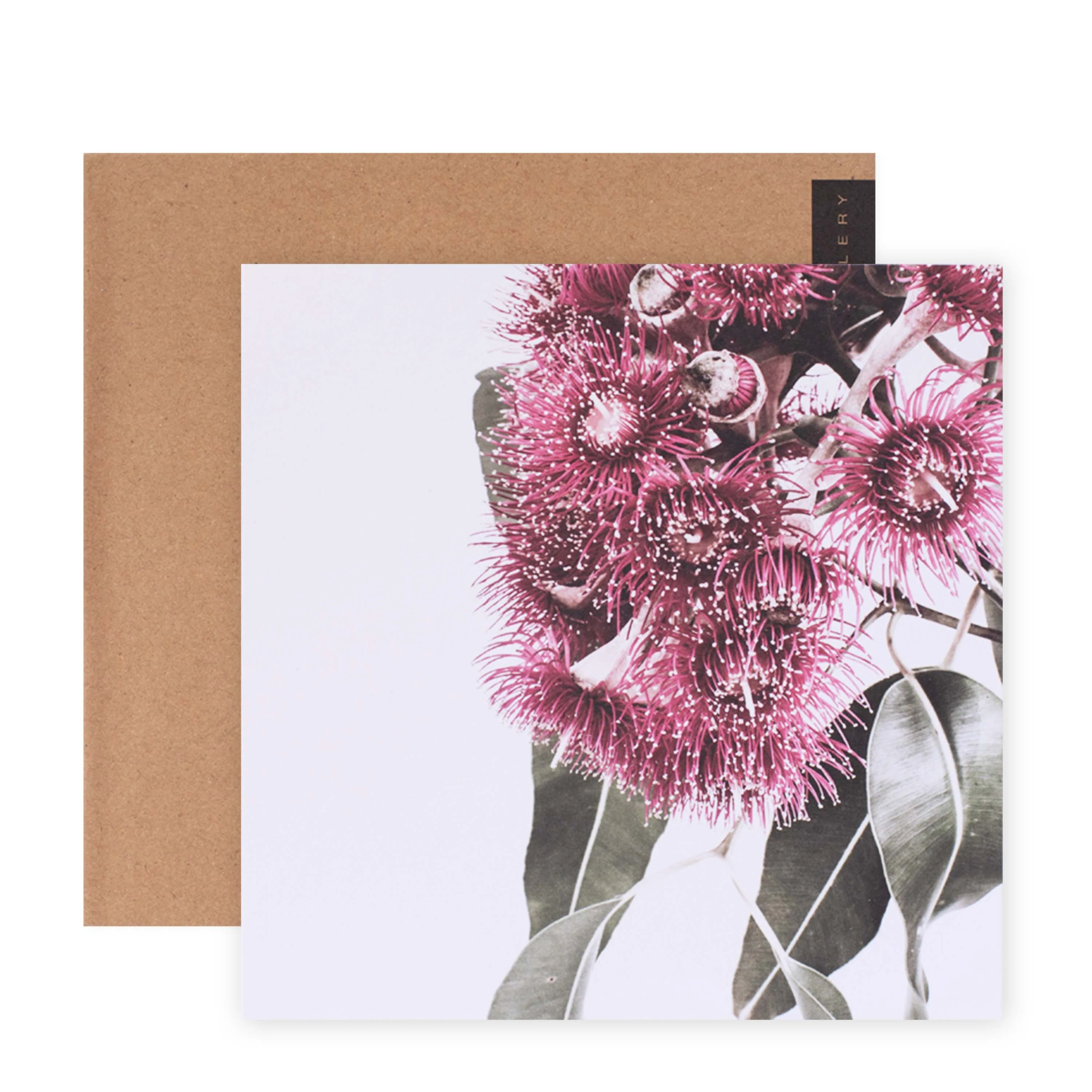 Hallmark x Donna Delaney Gallery Blank Greeting Card - Tiny Pink Fireworks - Image 3