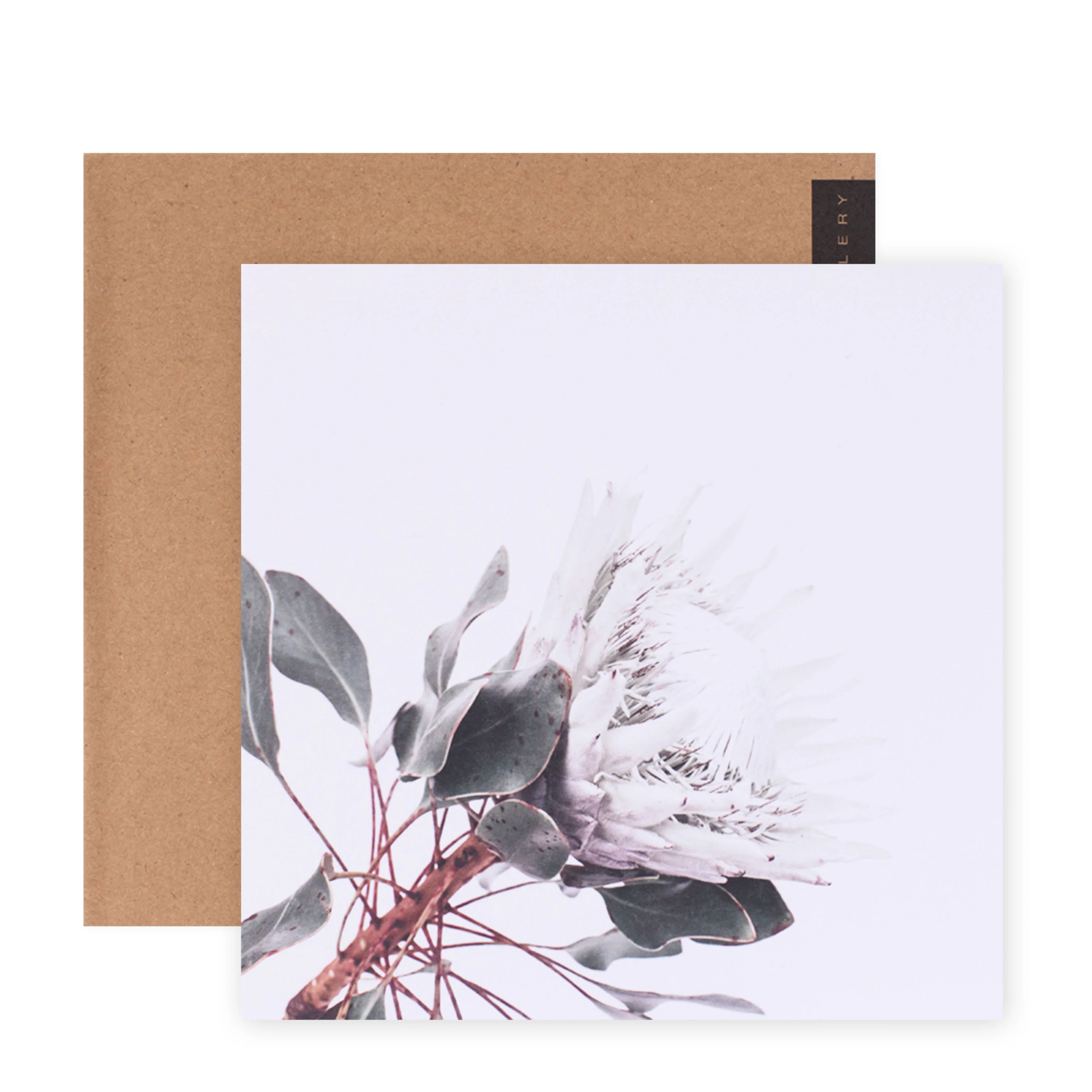 Hallmark x Donna Delaney Gallery Blank Greeting Card - White King - Image 3