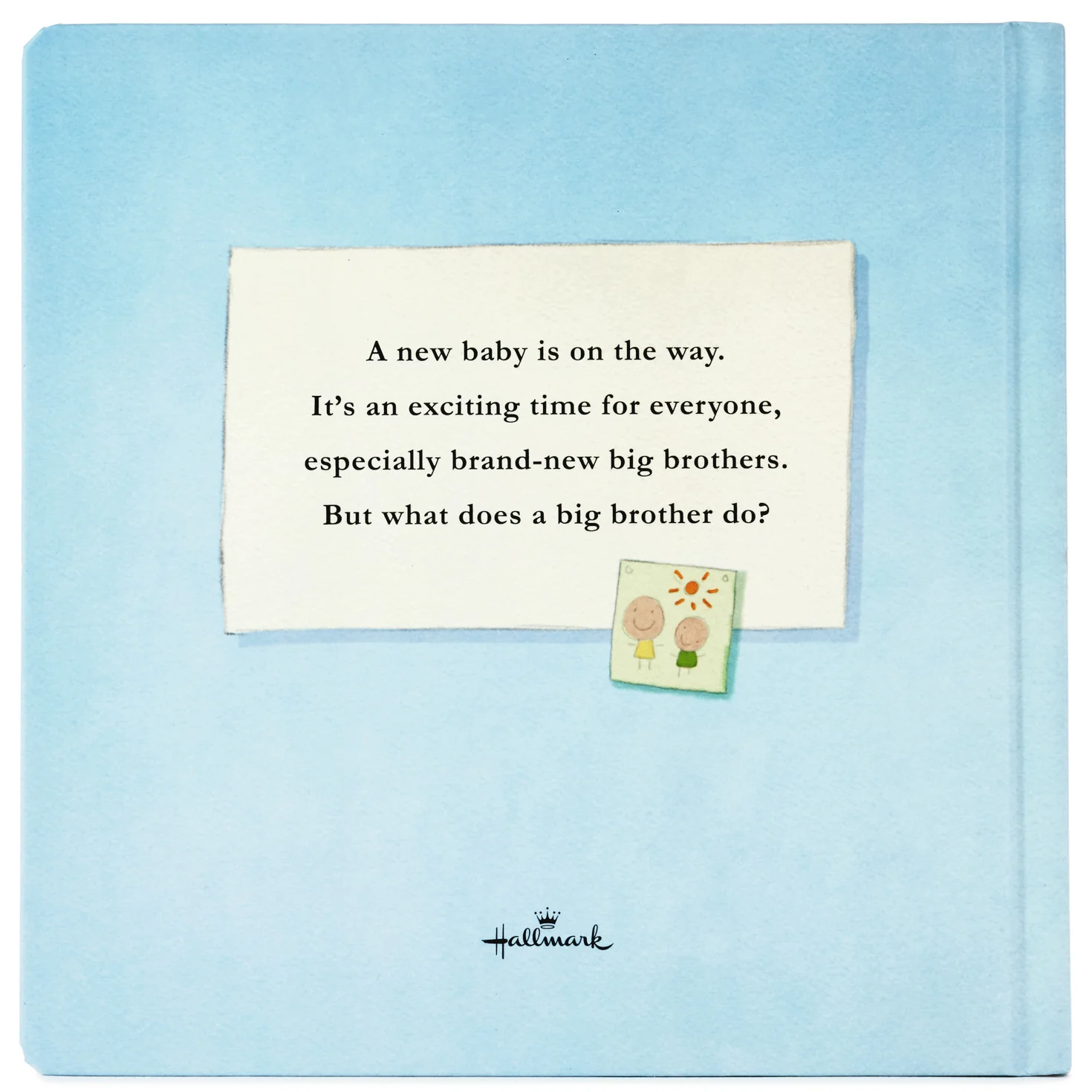 What Does a Big Brother Do? Book - Image 8