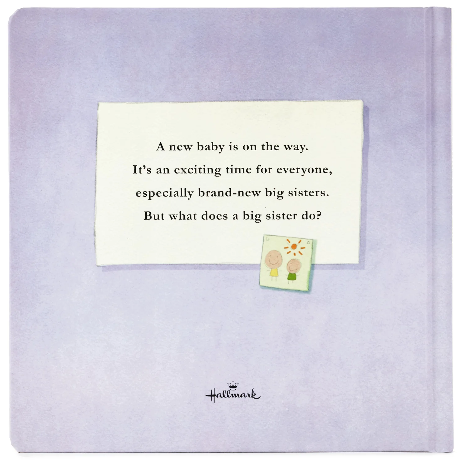 What Does a Big Sister Do? Book - Image 8