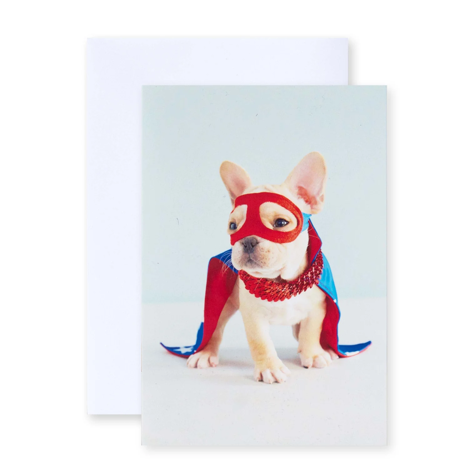 Hallmark Multipack of 12 Birthday Cards - 2 designs, Super Dog and Happy Birthday - Image 2
