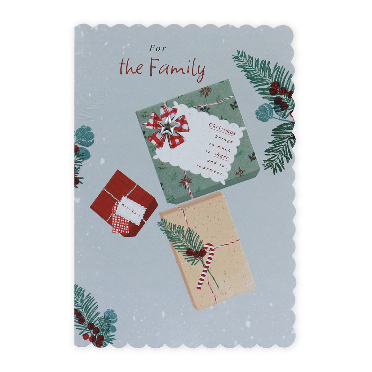 Hallmark Christmas Card For Family - Share & Remember