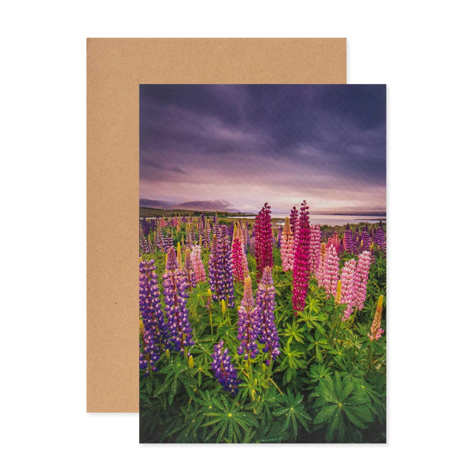 Hallmark Megan Maloney Photographic Card - Blank - Image 3