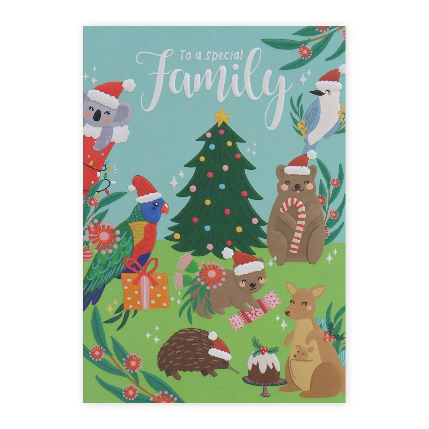 Hallmark x Christie Williams Christmas Card - To A Special Family