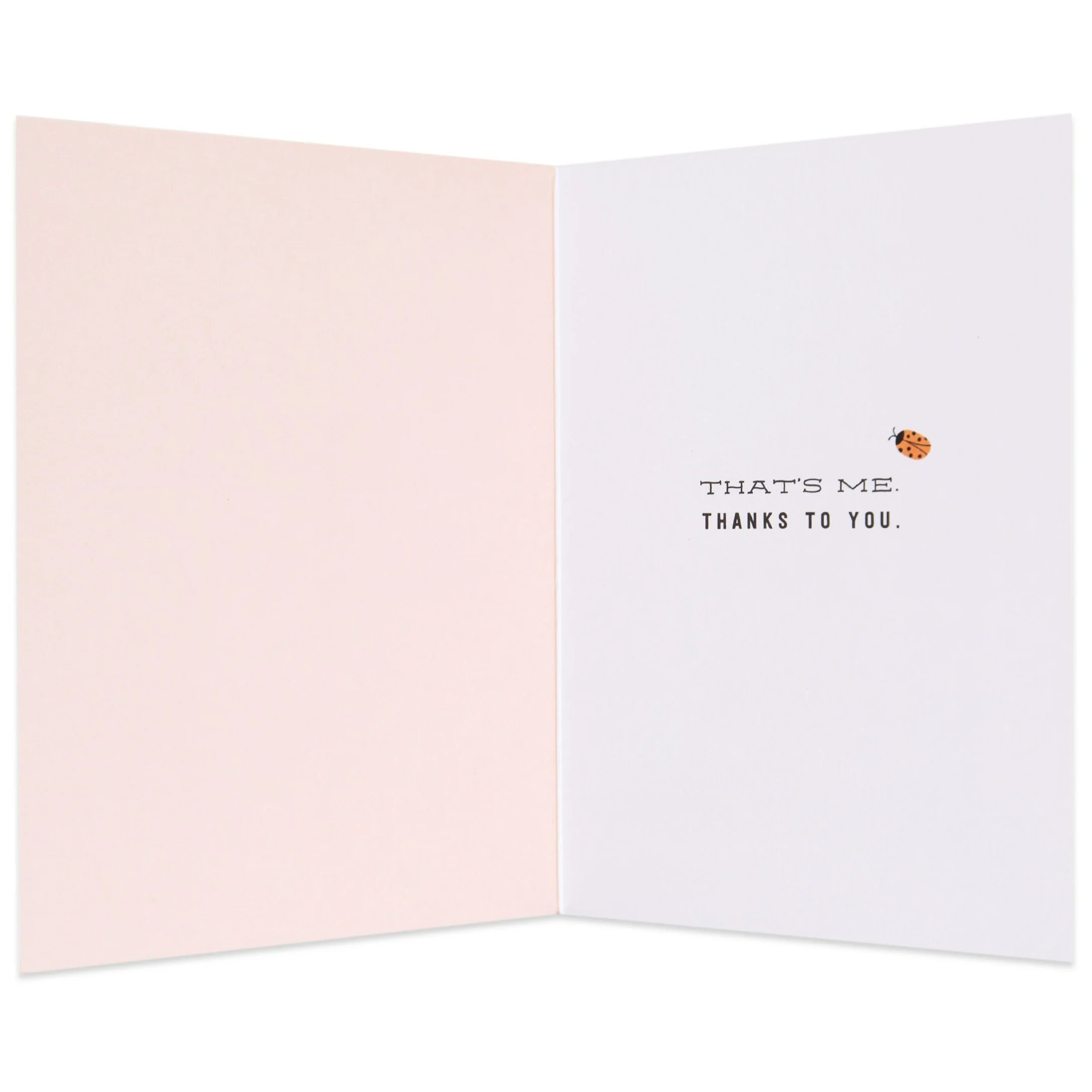 Lovely Lucky Ladybug Thank You Card - Image 2