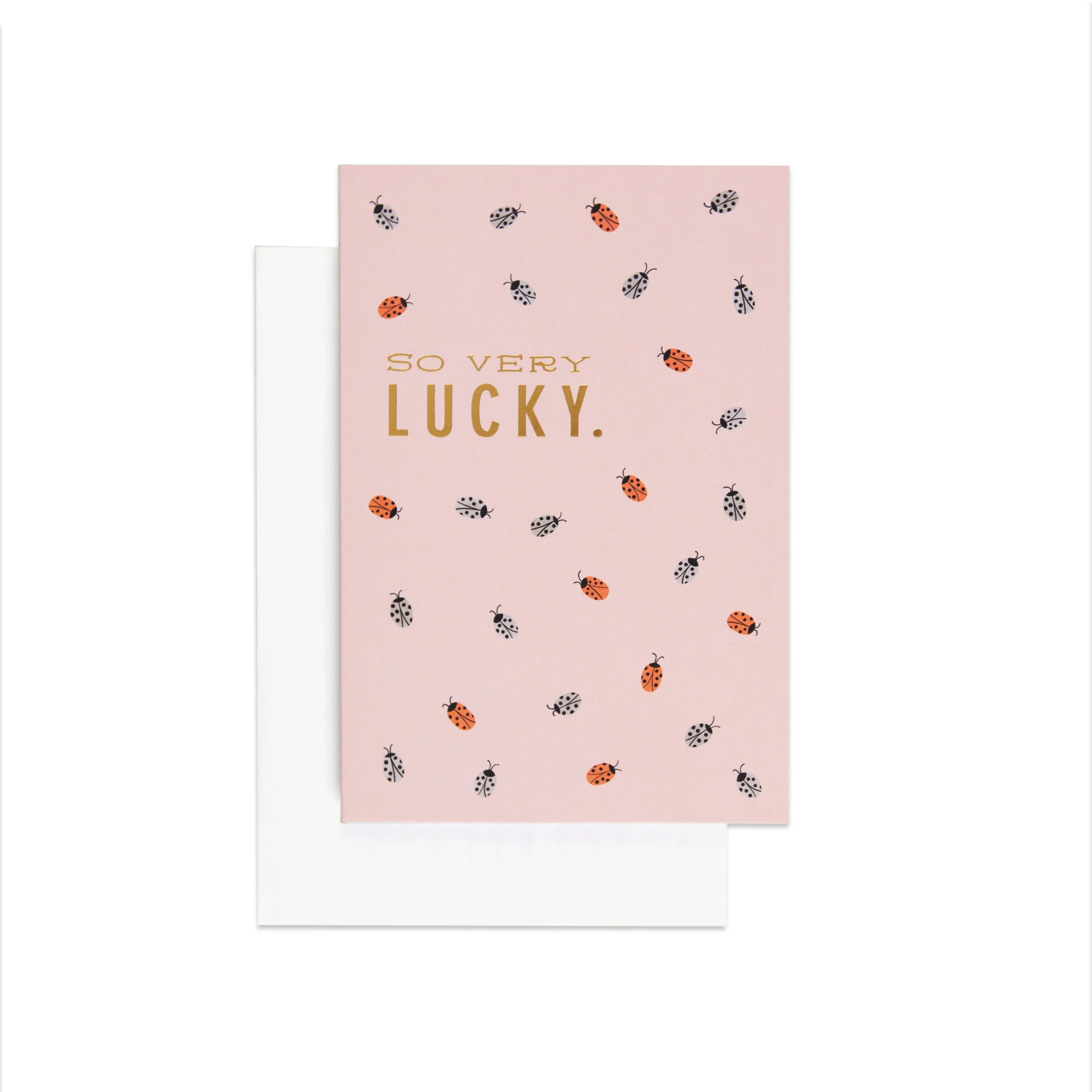 Lovely Lucky Ladybug Thank You Card - Image 3