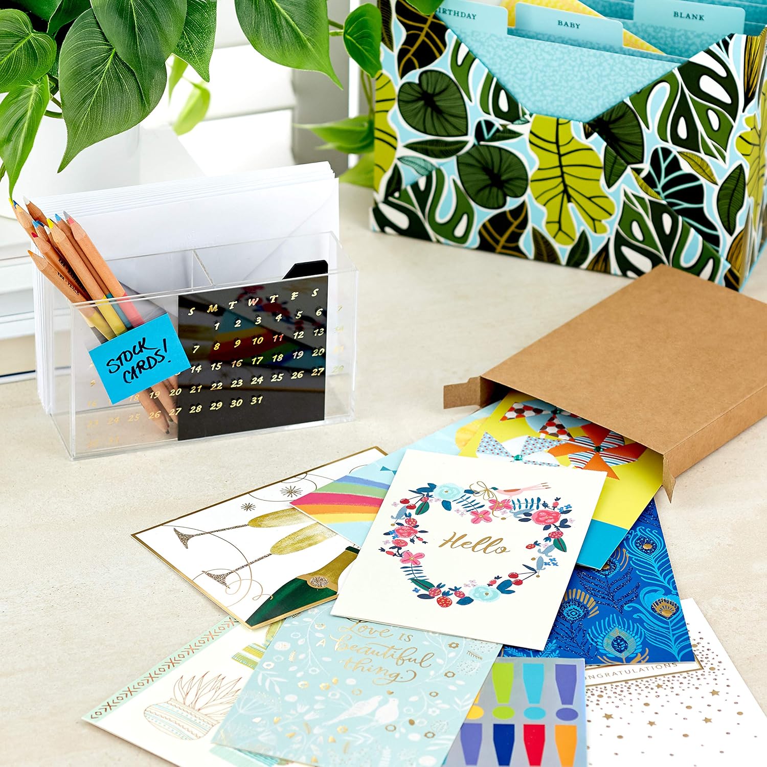 Hallmark All Occasion Cards Assortment Birthday, Congratulations, Blank Cards (12 Cards with Envelopes, Refill Pack for Hallmark Card Organizer Box) - Image 5