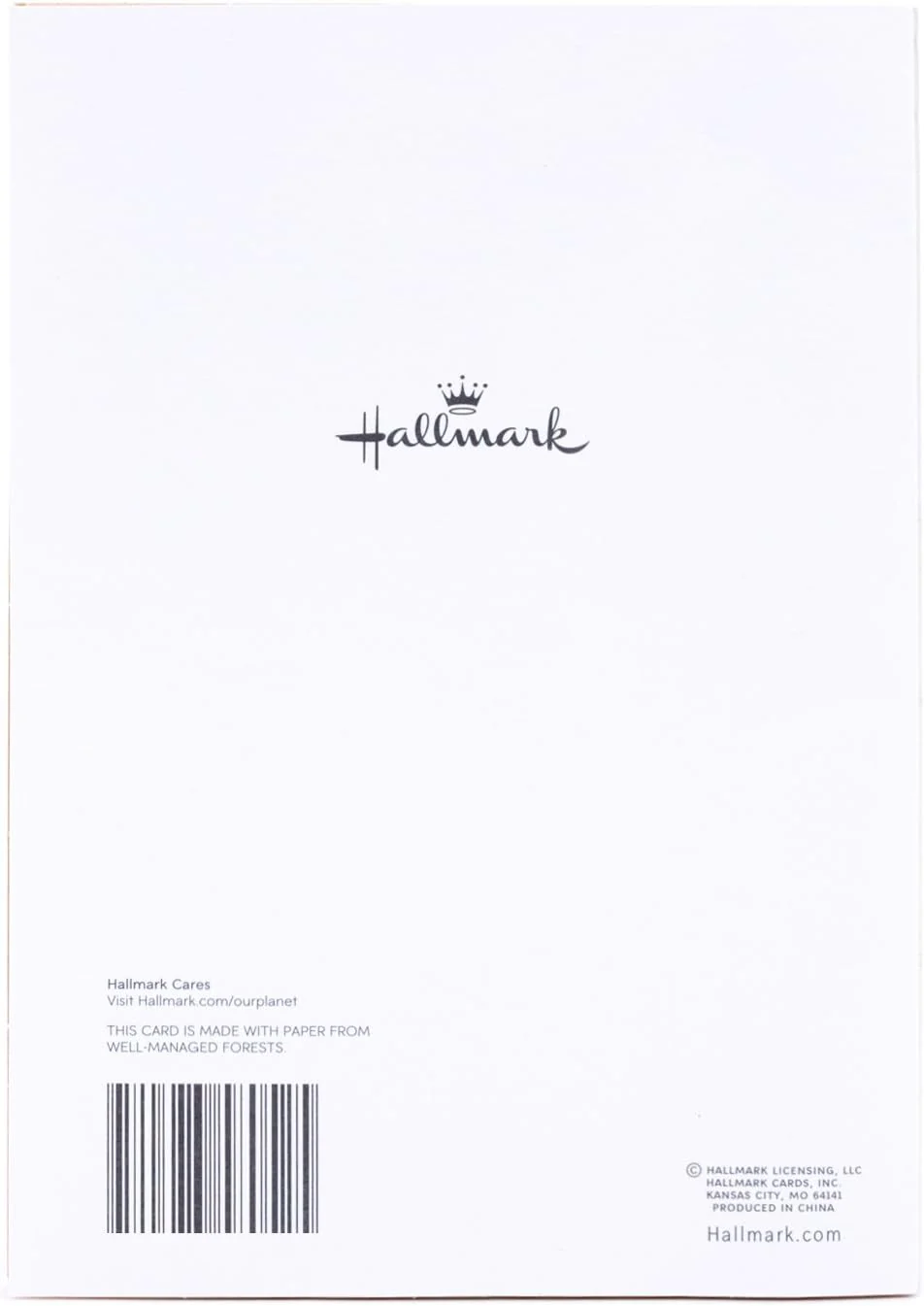 Hallmark Birthday Greeting Card for Dad (No Training Manual) - Image 6