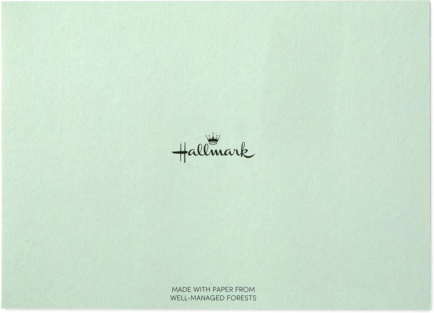 Hallmark Boxed Thank You Cards Assortment, Classic Gold Foil (Four Assorted Designs, 40 Cards with Envelopes) - Image 9