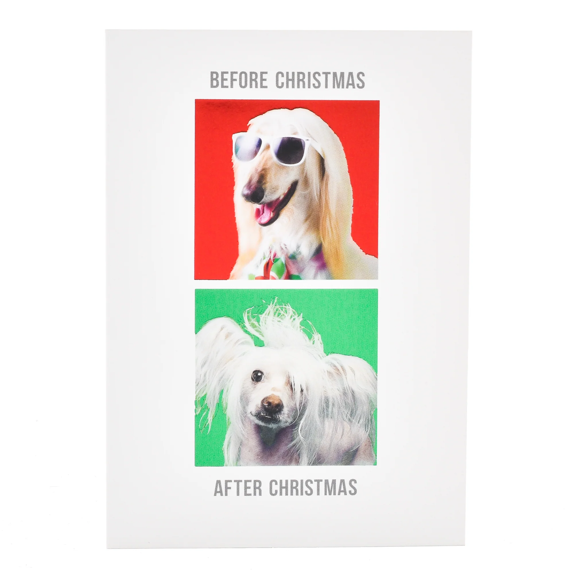 Hallmark Christmas Card - Before & After Dog