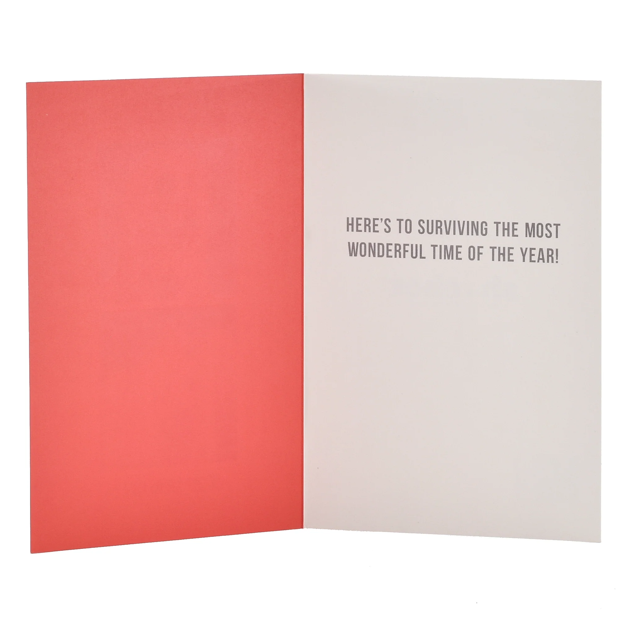 Hallmark Christmas Card - Before & After Dog - Image 2