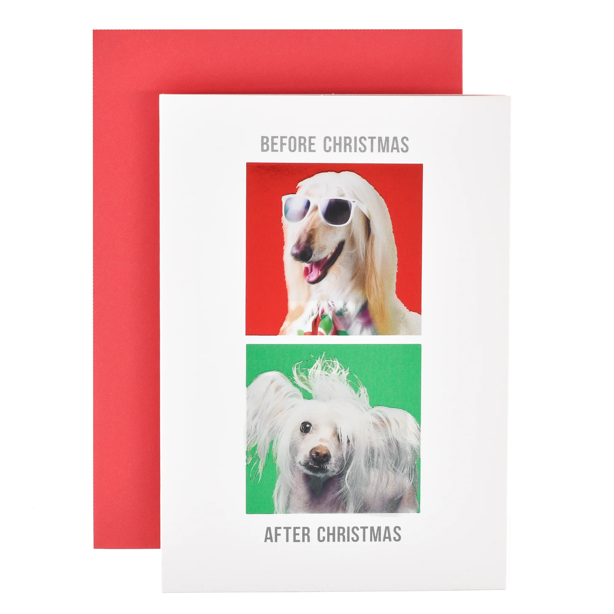 Hallmark Christmas Card - Before & After Dog - Image 3