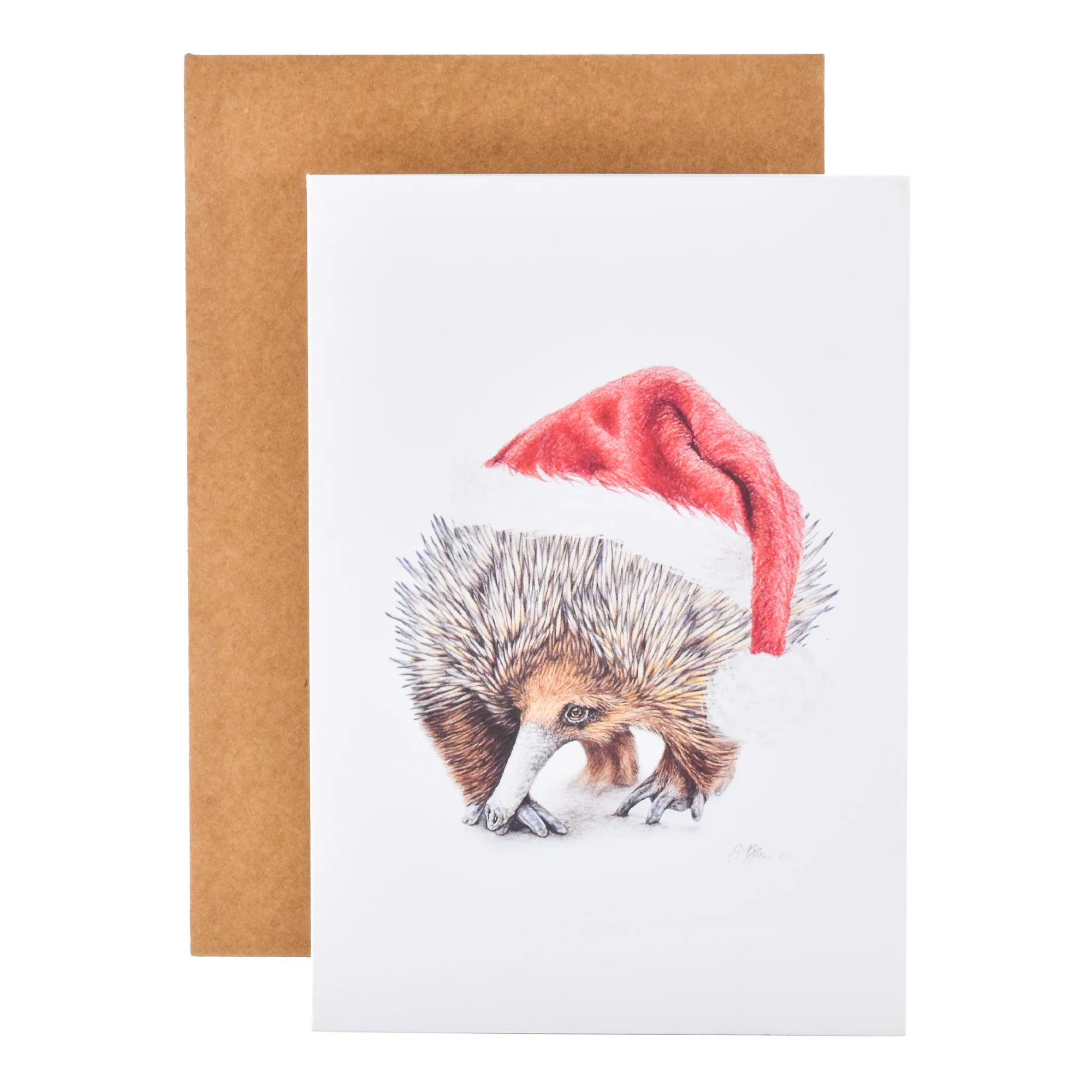 Hallmark Christmas Card  - Festive Echidna by Sharryn O'Brien - Image 3