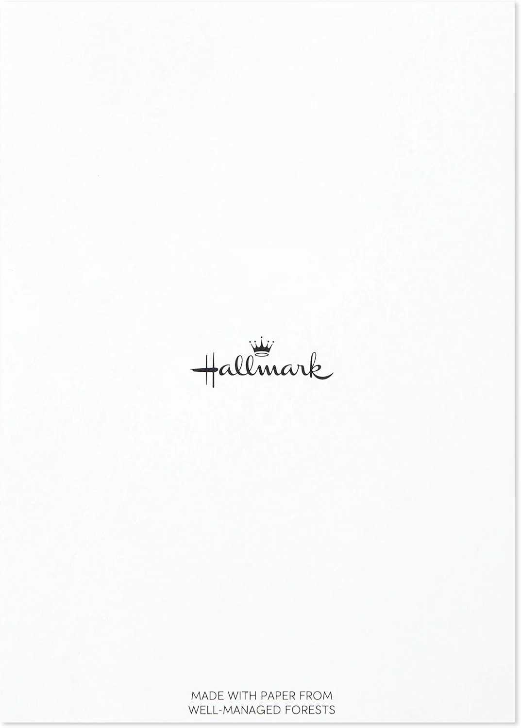 Hallmark Congratulations Card and Graduation Card Assortment (Boxed Set of 24 Cards with Envelopes) - Image 14