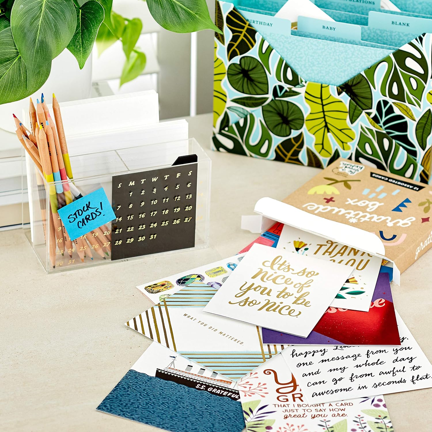 Hallmark Good Mail Thank You Cards Assortment (Box of 12 Modern Greeting Cards) - Image 6