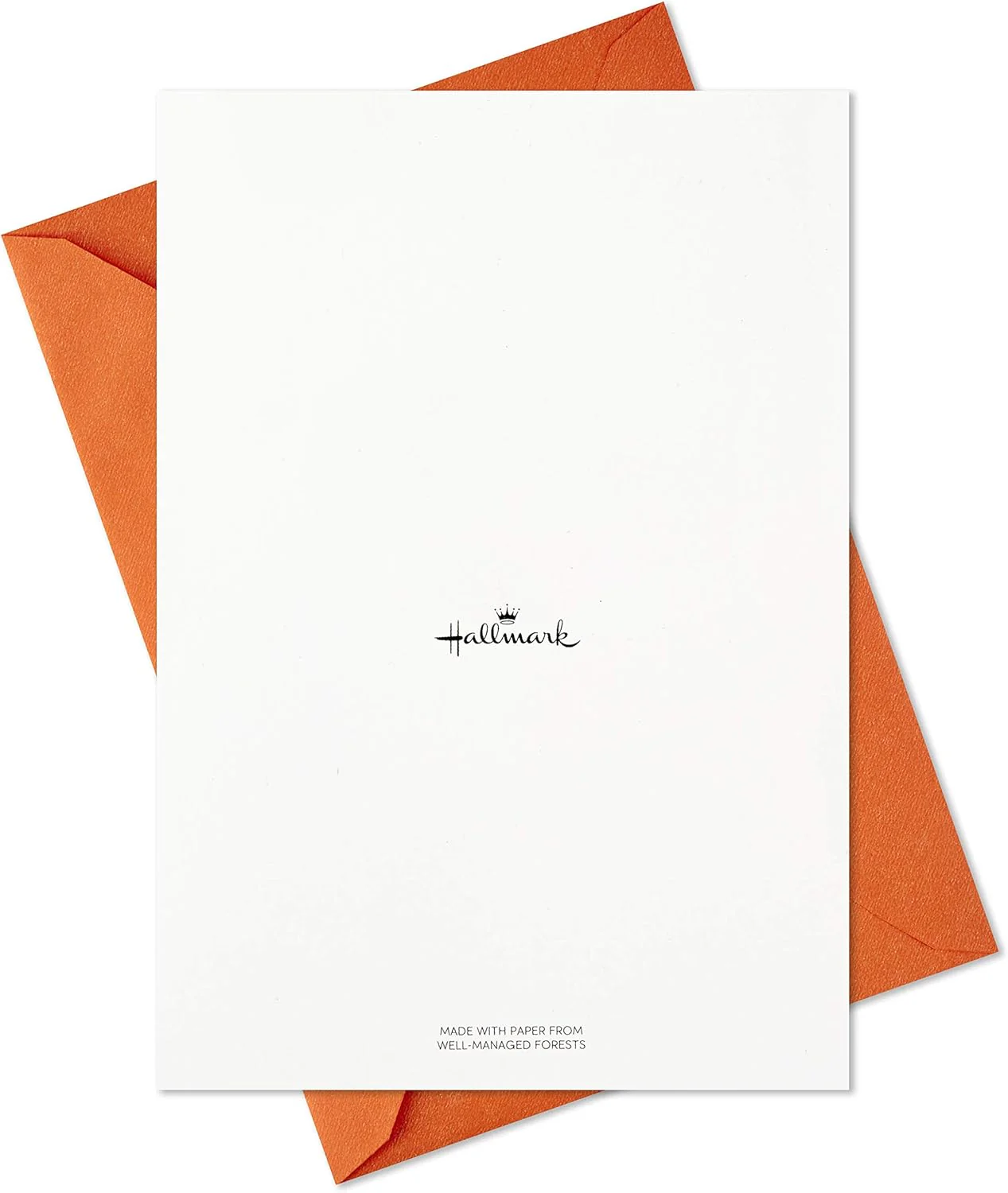 Hallmark Kids Fill in The Blank Thank You Cards, Dinosaurs (20 Cards with Envelopes) - Image 6