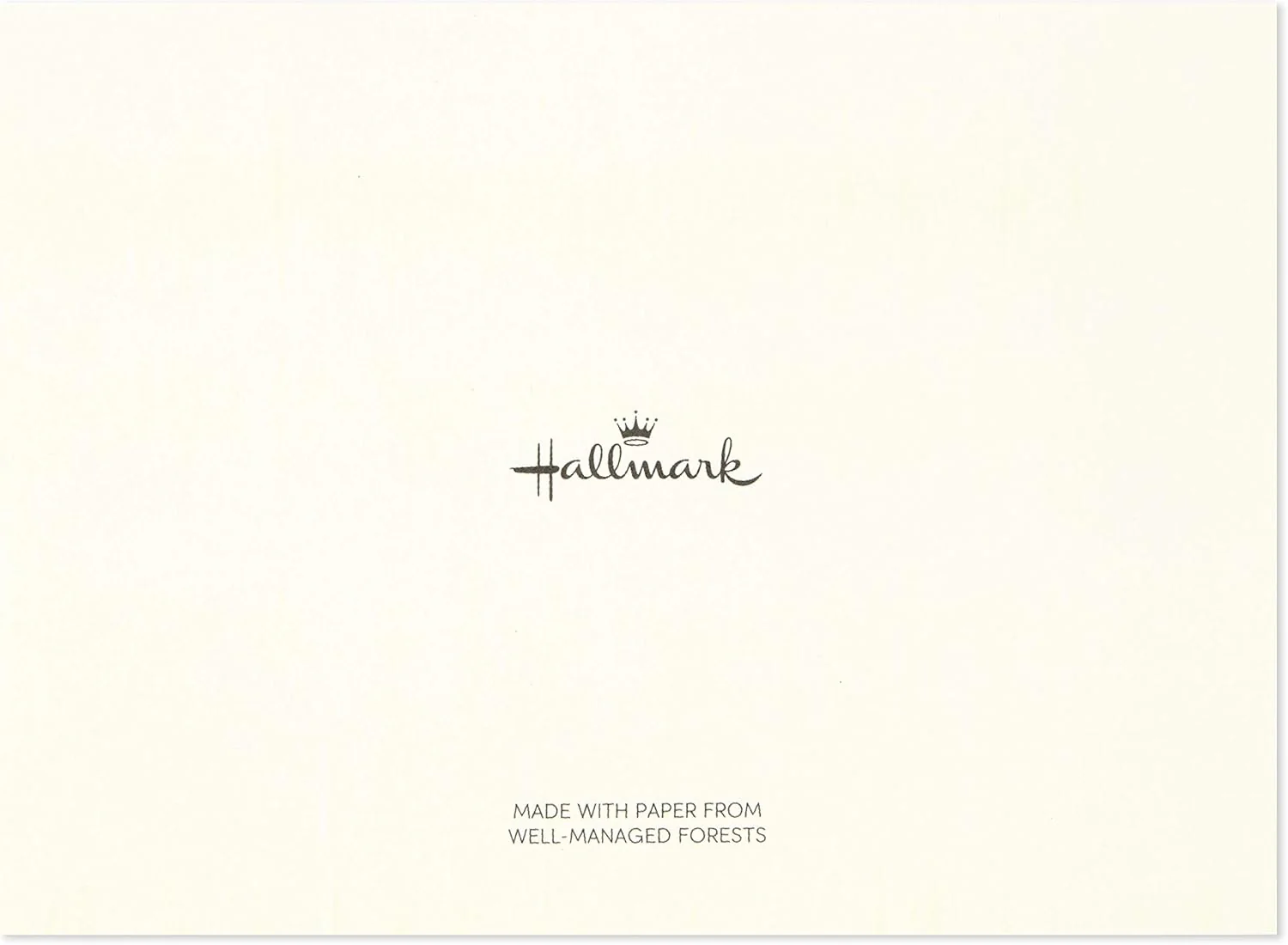 Hallmark Notecards (Stripes, Dots, Flowers, 40 Cards and Envelopes) - Image 9