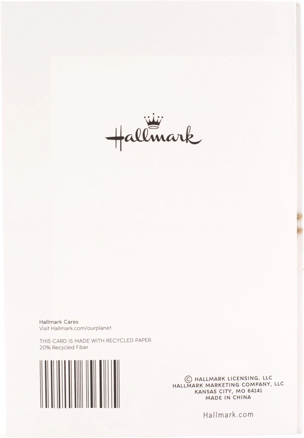 Hallmark Our Anniversary Card Celebrating us Love, Celebrating us (499RZB1025) - Image 7