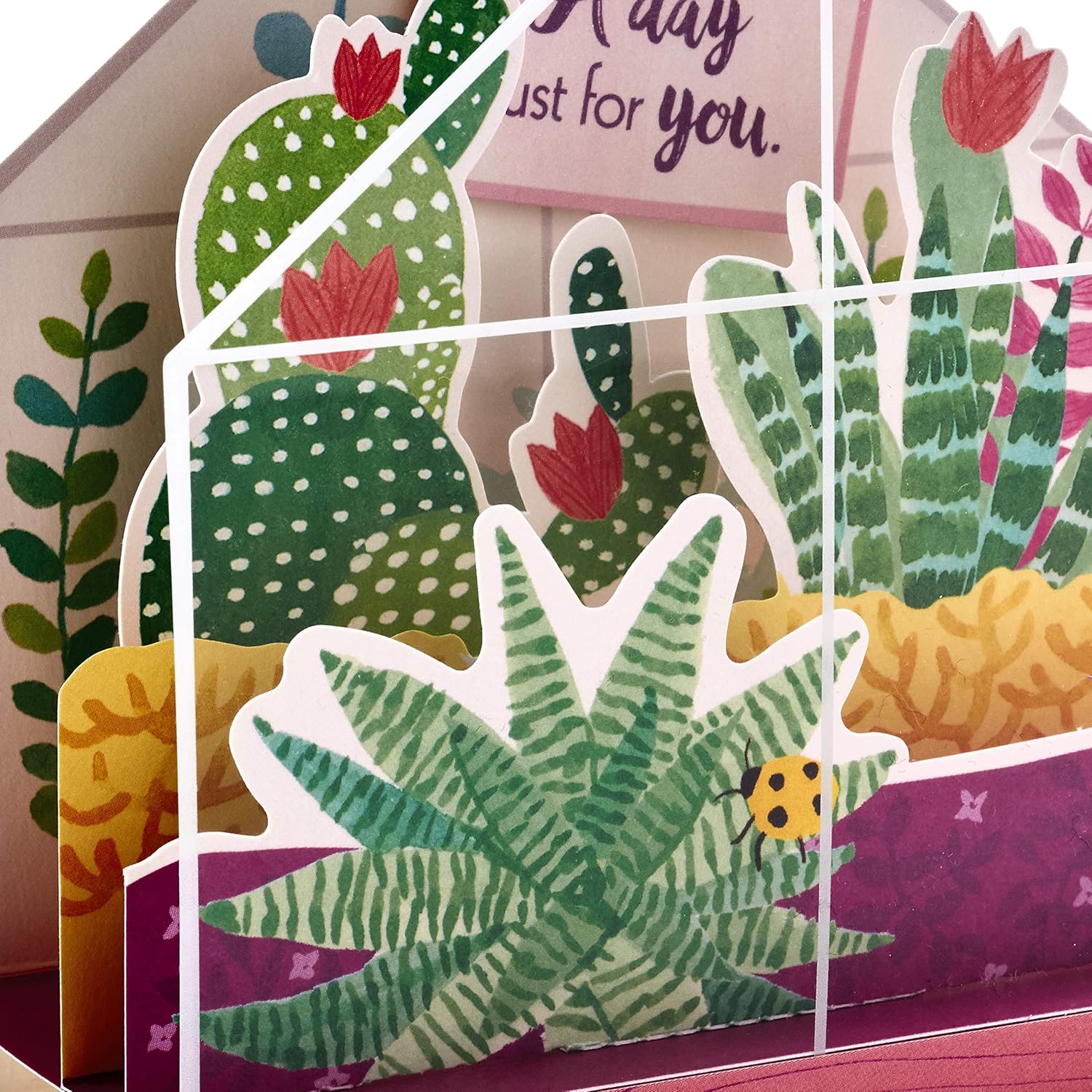 Hallmark Paper Wonder Displayable Pop Up Birthday Card or Mother's Day Card (Succulents), 5 X 7. 2 inches - Image 4