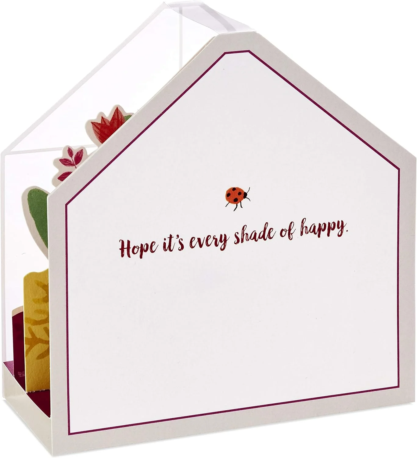 Hallmark Paper Wonder Displayable Pop Up Birthday Card or Mother's Day Card (Succulents), 5 X 7. 2 inches - Image 8