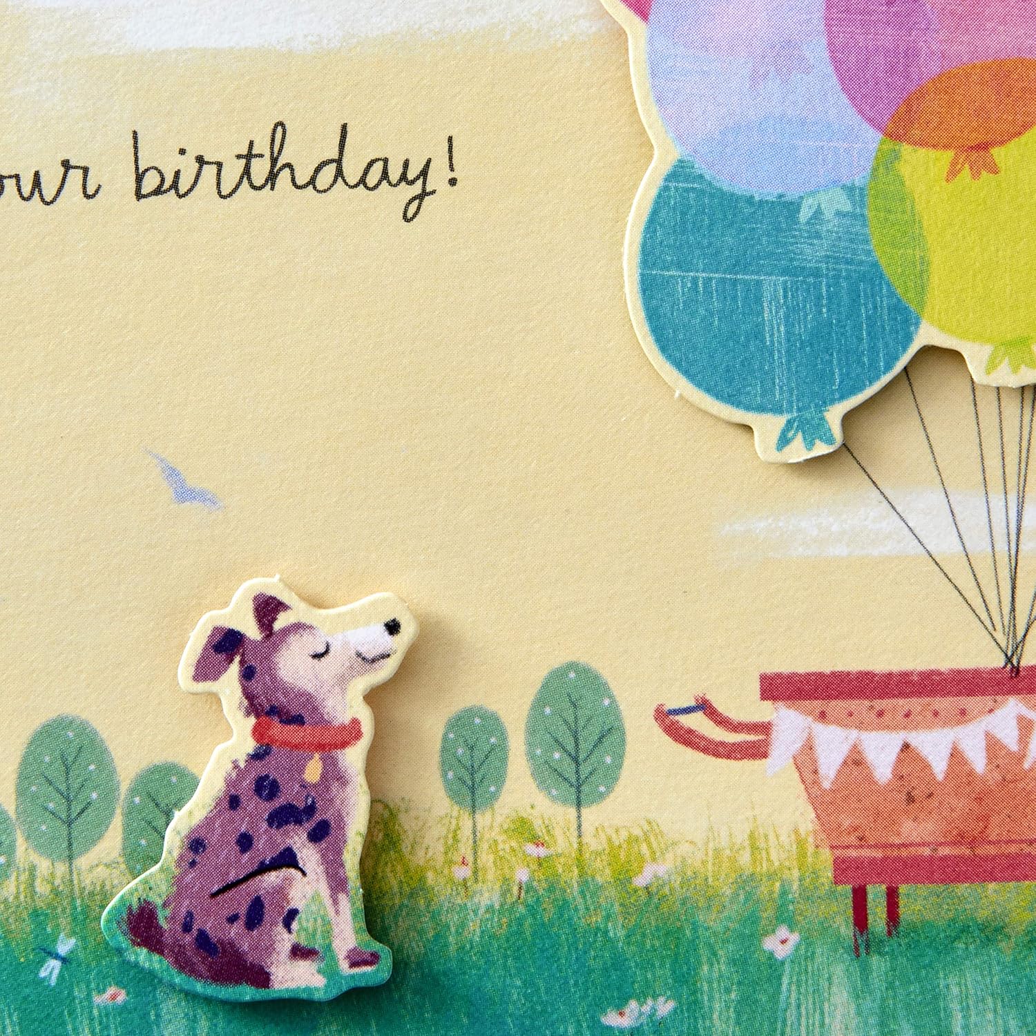 Hallmark Paper Wonder Pop Up Birthday Card (Get Carried Away) - Image 5