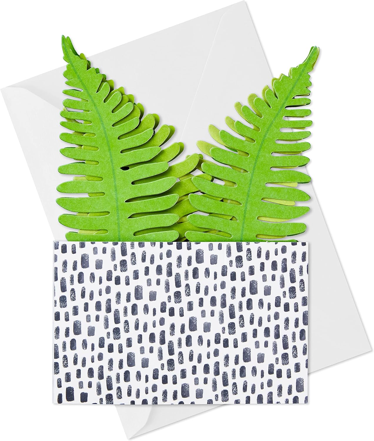 Hallmark Paper Wonder Pop Up Card for Birthday, Thinking of You, Congrats, Get Well, or Any Occasion (Potted Fern) - Image 2