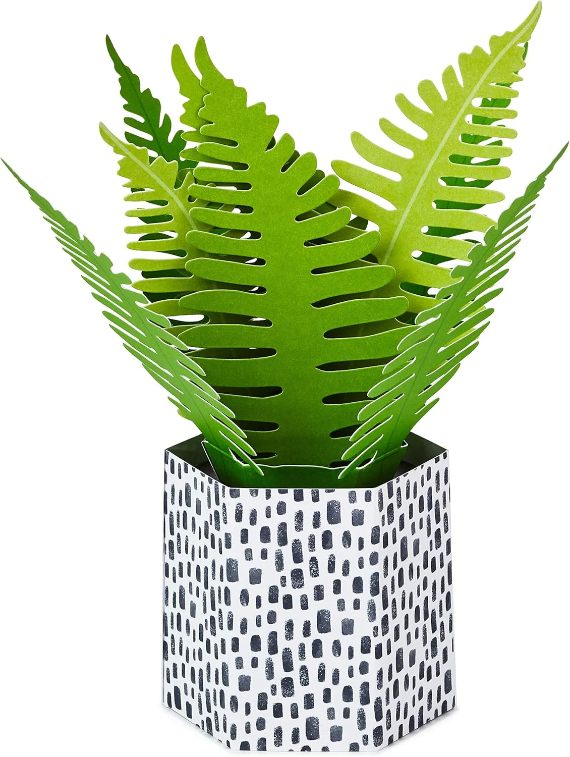 Hallmark Paper Wonder Pop Up Card for Birthday, Thinking of You, Congrats, Get Well, or Any Occasion (Potted Fern) - Image 3