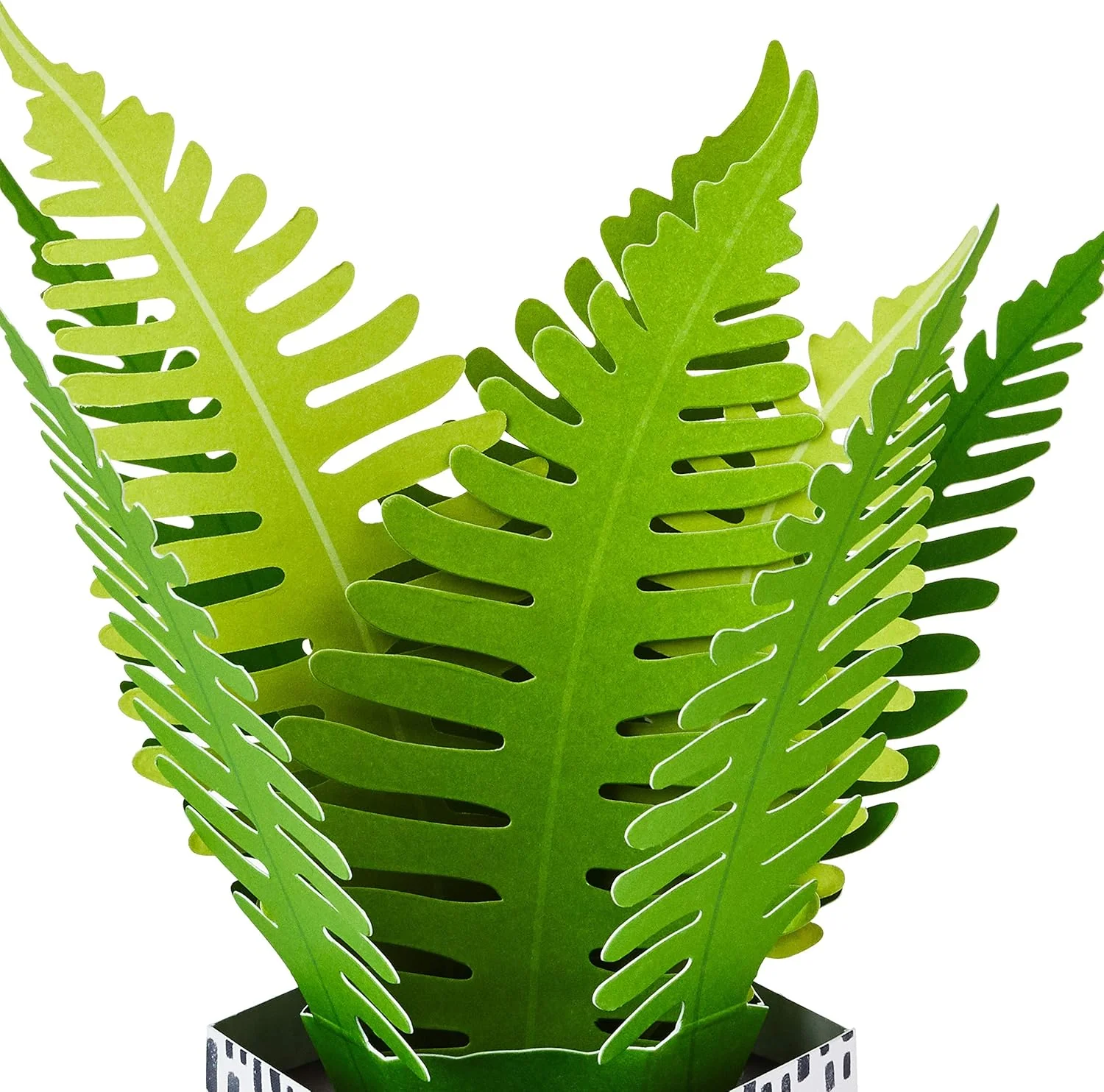 Hallmark Paper Wonder Pop Up Card for Birthday, Thinking of You, Congrats, Get Well, or Any Occasion (Potted Fern) - Image 4