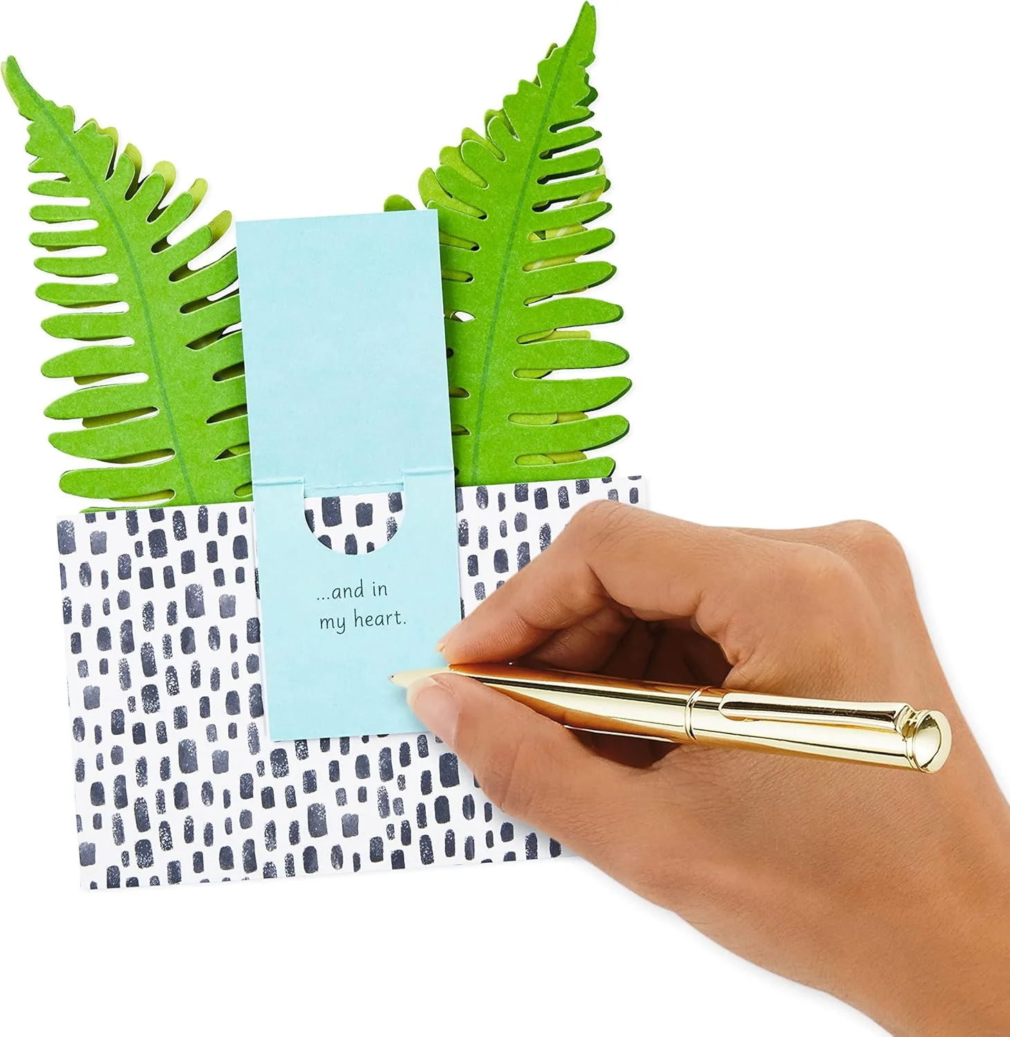 Hallmark Paper Wonder Pop Up Card for Birthday, Thinking of You, Congrats, Get Well, or Any Occasion (Potted Fern) - Image 6